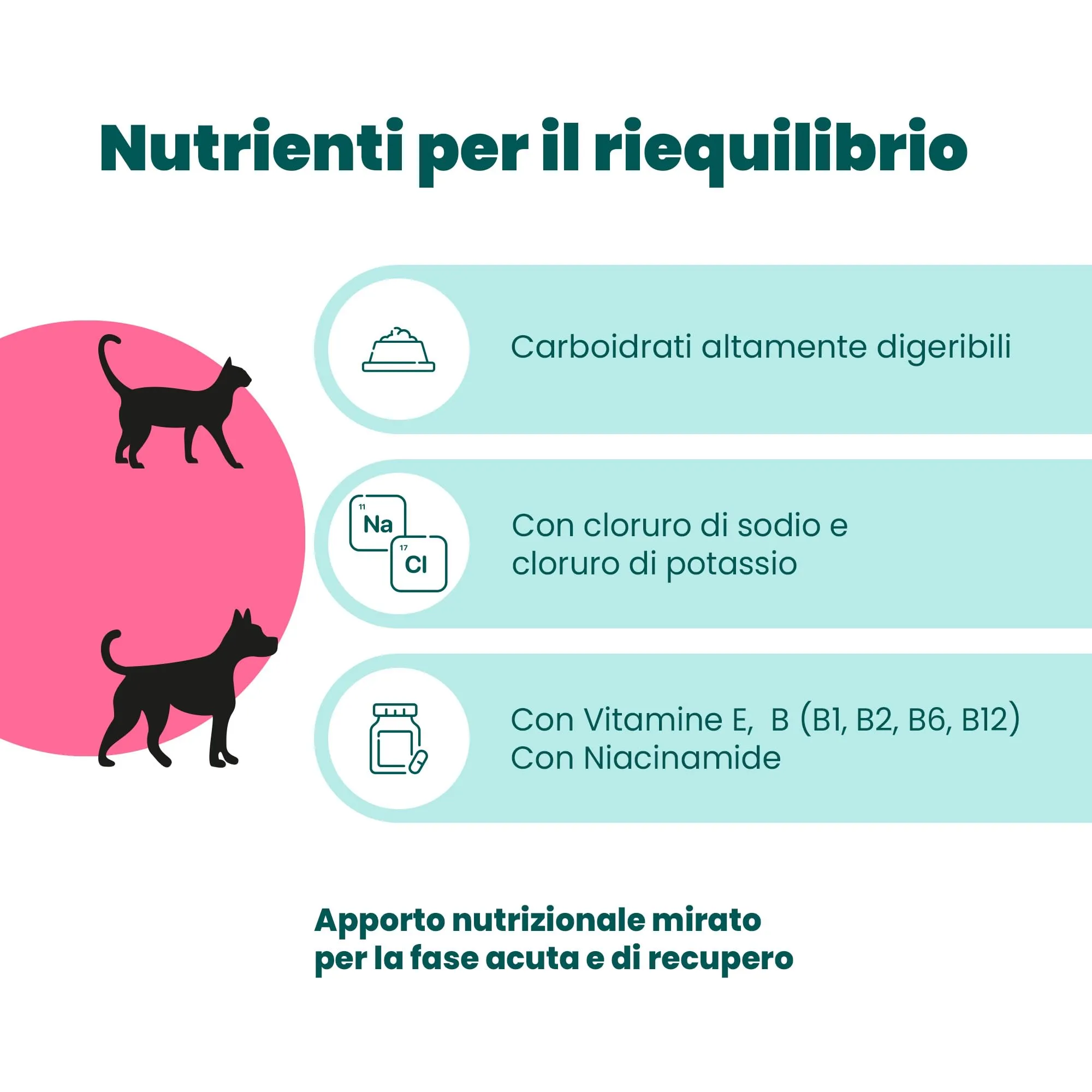 CAMON - Enterosalus Parnut Polvere 50g, Supporto alla Flora Intestinale - immagine 2