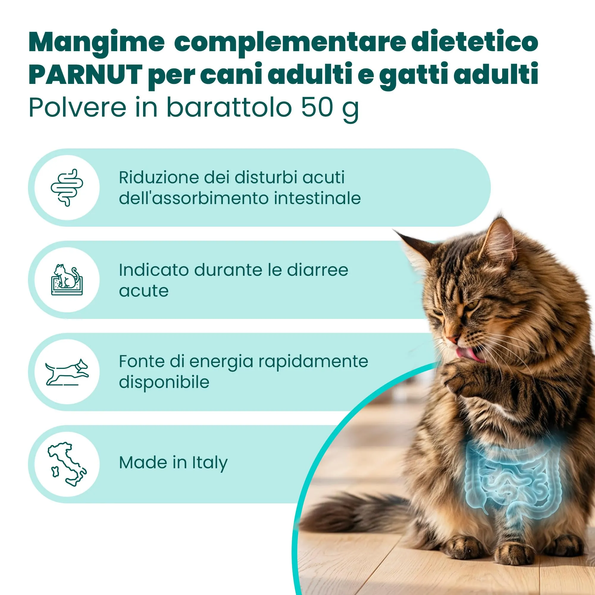 CAMON - Enterosalus Parnut Polvere 50g, Supporto alla Flora Intestinale - immagine 3