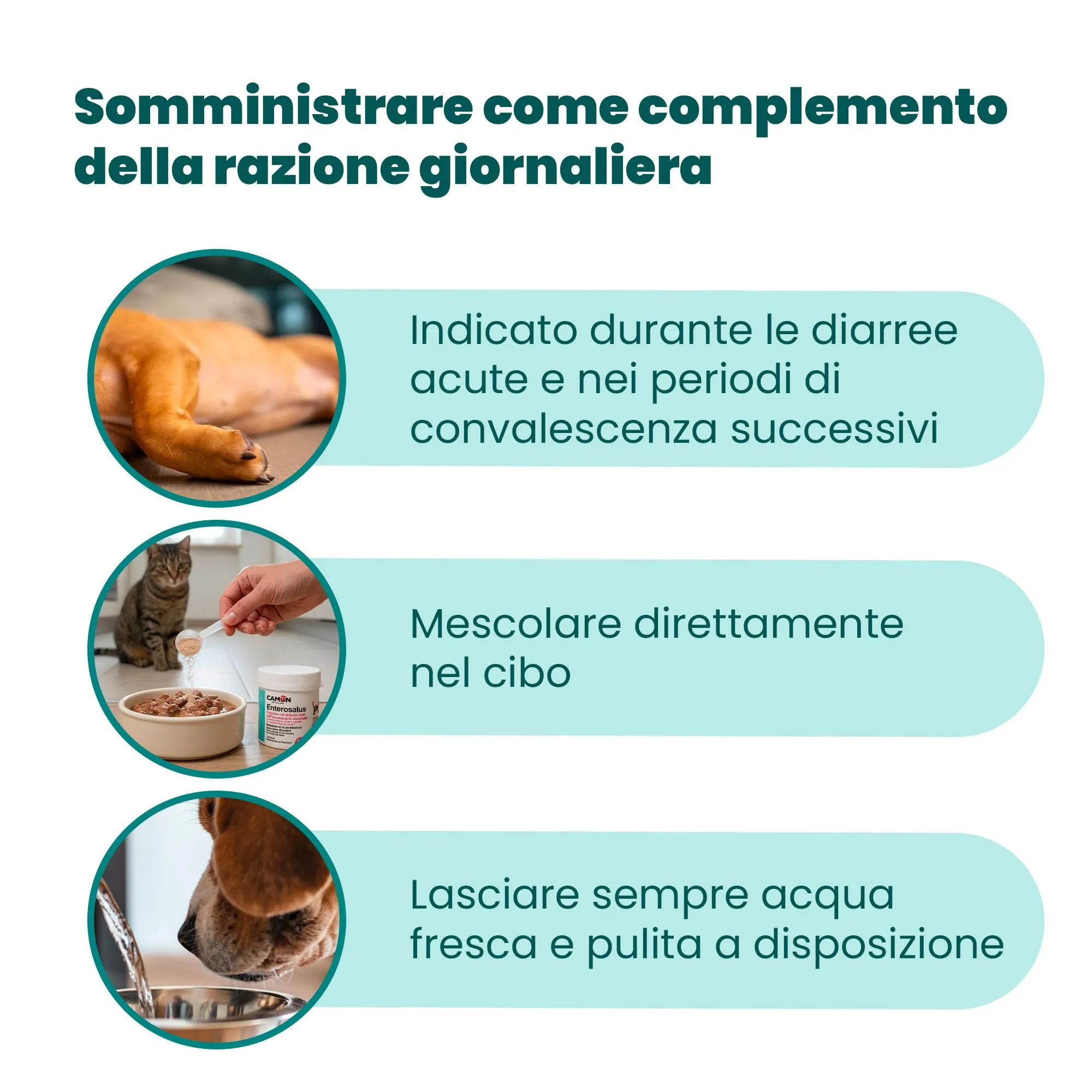 CAMON - Enterosalus Parnut Polvere 50g, Supporto alla Flora Intestinale - immagine 6