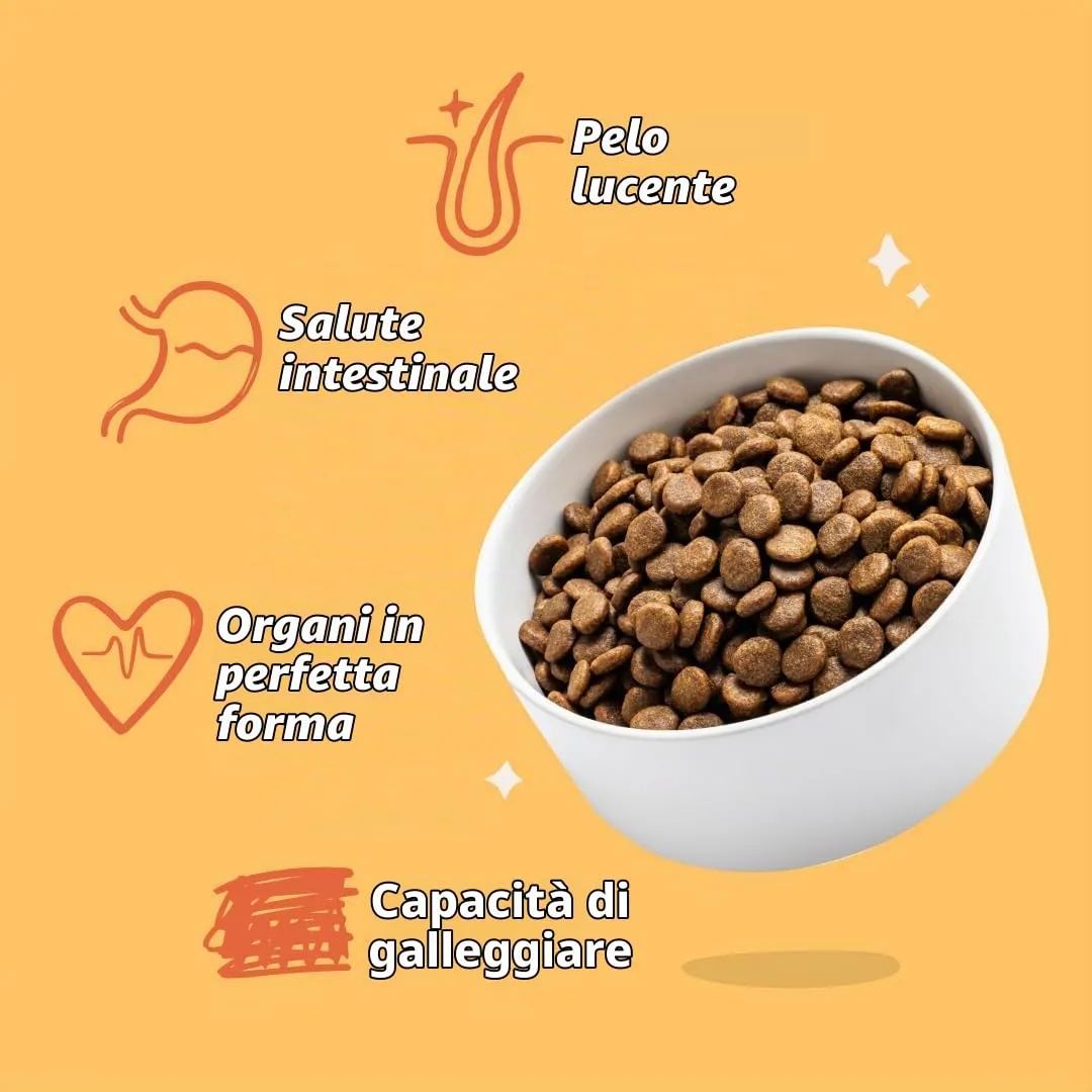 Edgard & Cooper Cibo secco per cani (pollo, 7 kg), senza cereali, ingredienti naturali e carne fresca, pieno di aminoacidi essenziali - immagine 6
