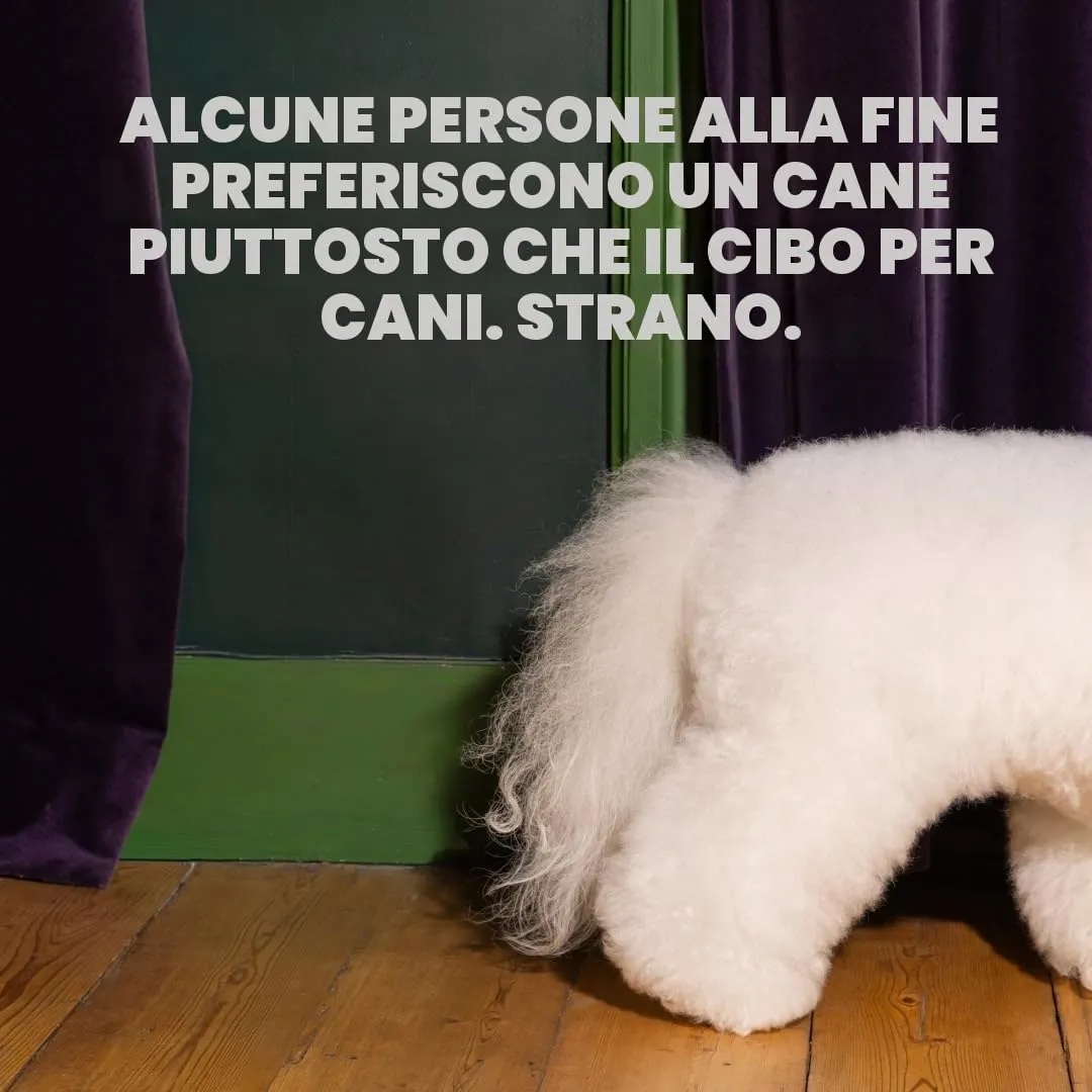 Edgard & Cooper Cibo secco per cani (pollo, 7 kg), senza cereali, ingredienti naturali e carne fresca, pieno di aminoacidi essenziali - immagine 9
