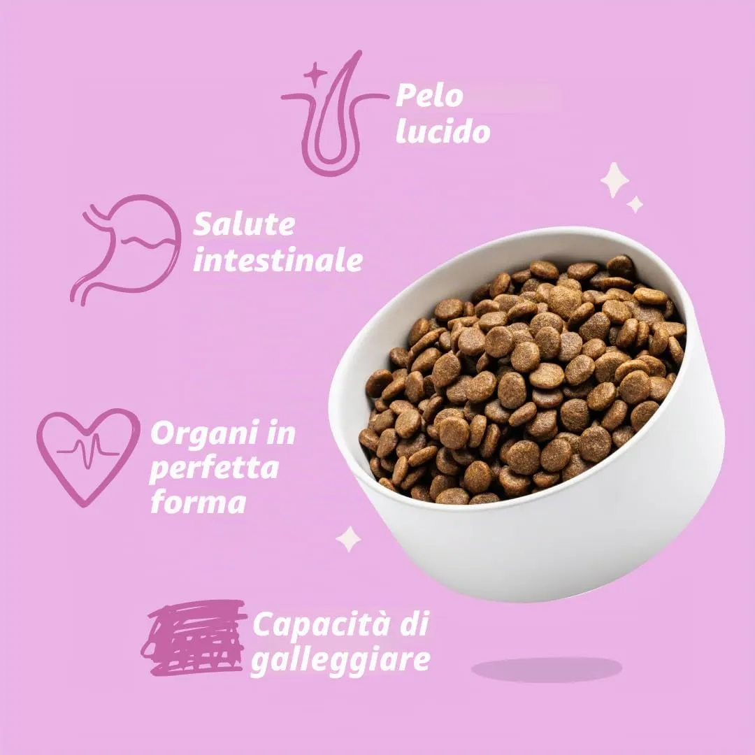 Edgard & Cooper Cibo secco per cani (cervo e anatra, 7 kg), senza cereali, ingredienti naturali e carne fresca, pieno di aminoacidi essenziali - immagine 6