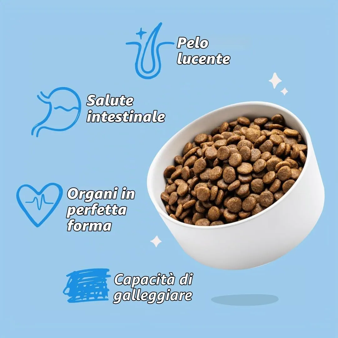 Edgard & Cooper - Cibo secco per cani (salmone, 7 kg), senza cereali, ingredienti naturali e carni fresche, pieno di aminoacidi essenziali - immagine 6