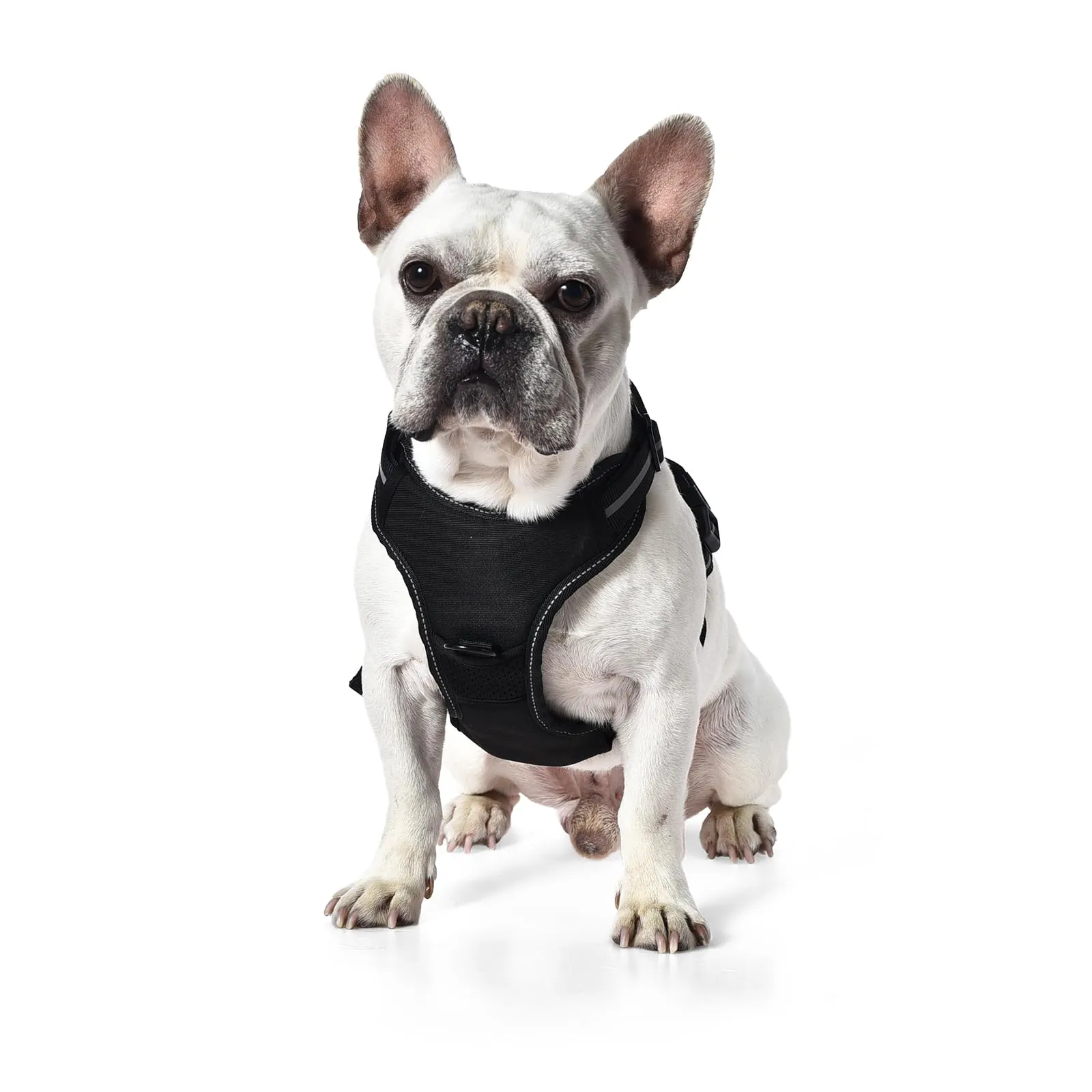 Amazon Basics Pettorina a gilet per cani regolabile, anti-trazione, imbottita, morbida, con strisce riflettenti, nera, misura Medio - immagine 2