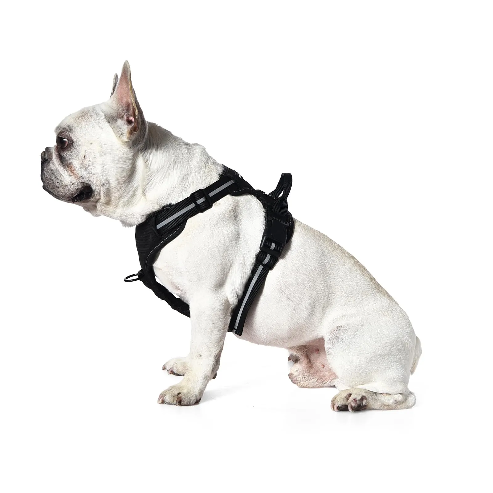 Amazon Basics Pettorina a gilet per cani regolabile, anti-trazione, imbottita, morbida, con strisce riflettenti, nera, misura Medio - immagine 3