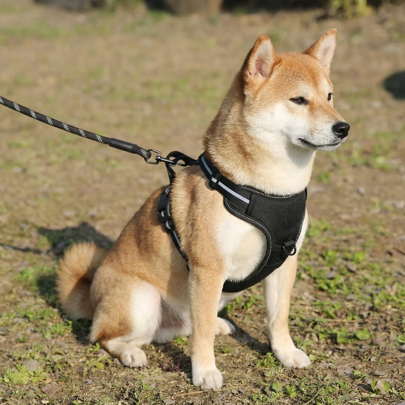 Amazon Basics Pettorina a gilet per cani regolabile, anti-trazione, imbottita, morbida, con strisce riflettenti, nera, misura Medio - immagine 8