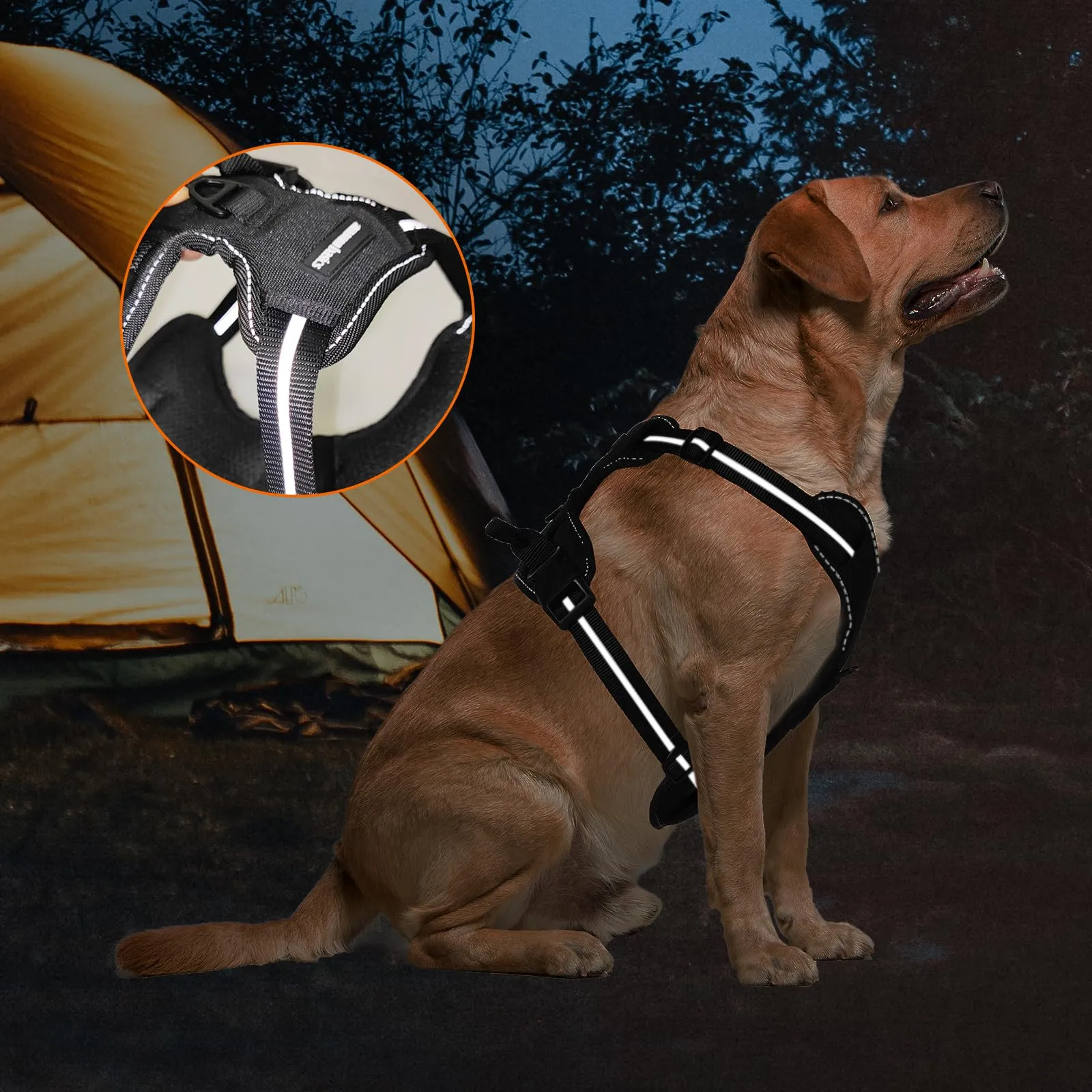 Amazon Basics Pettorina a gilet per cani regolabile, anti-trazione, imbottita, morbida, con strisce riflettenti, nera, misura Medio - immagine 9
