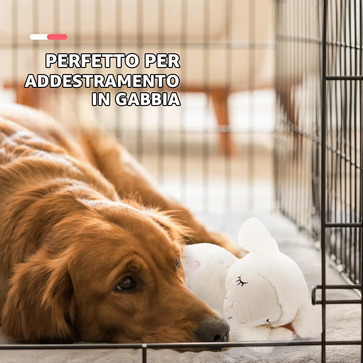 All For Paws All For Paws Tutto per Paws Afp Little Buddy - Battito Cardiaco Pecora Bianco - immagine 5