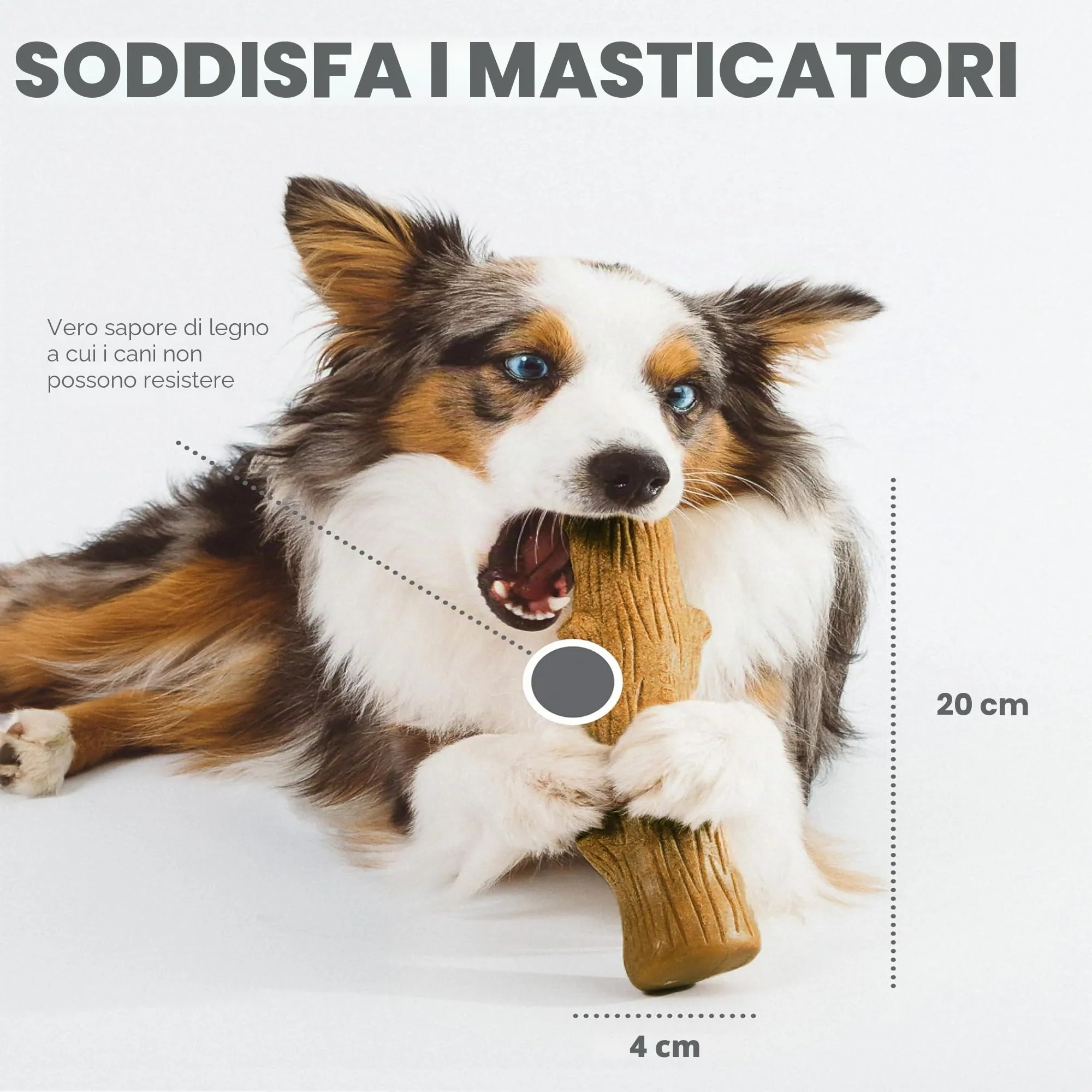 Petstages Dogwood - Gioco da masticare per cani - bastoncino - alternativa al legno - XS - immagine 3
