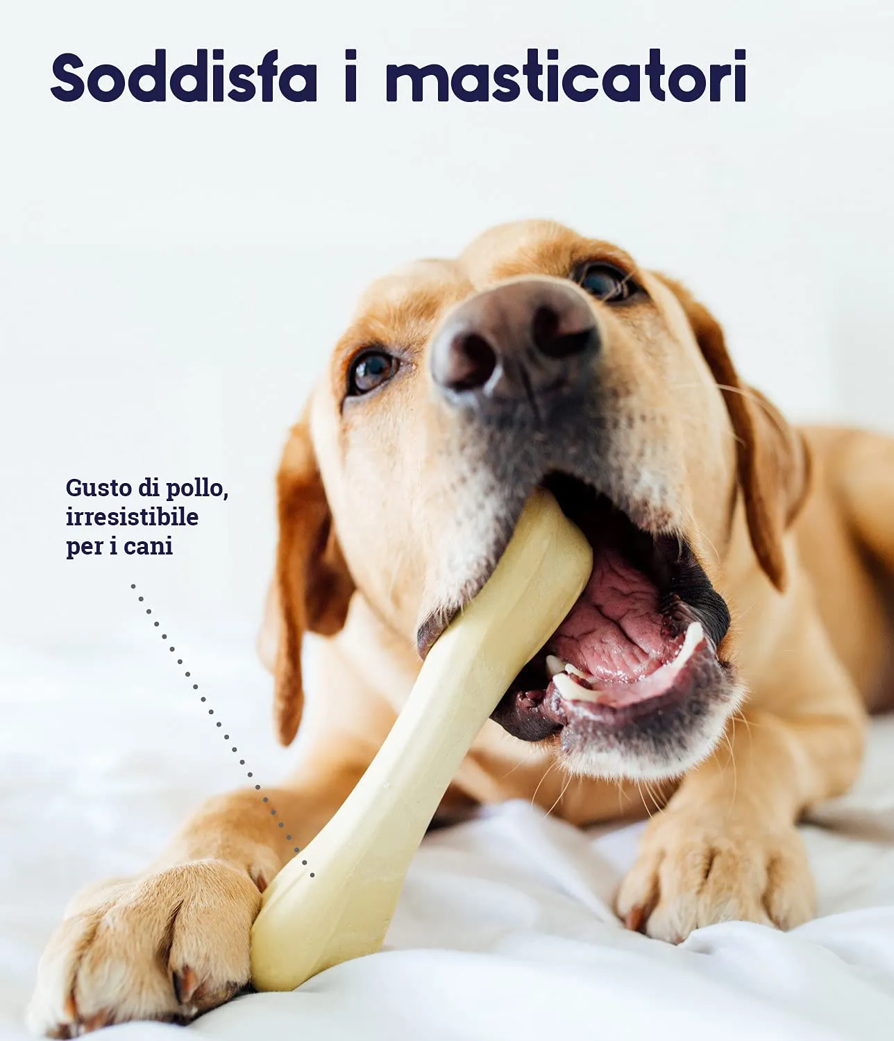 Petstages Chick-A-Bone - Gioco da masticare per cani - a forma di osso - large - immagine 3