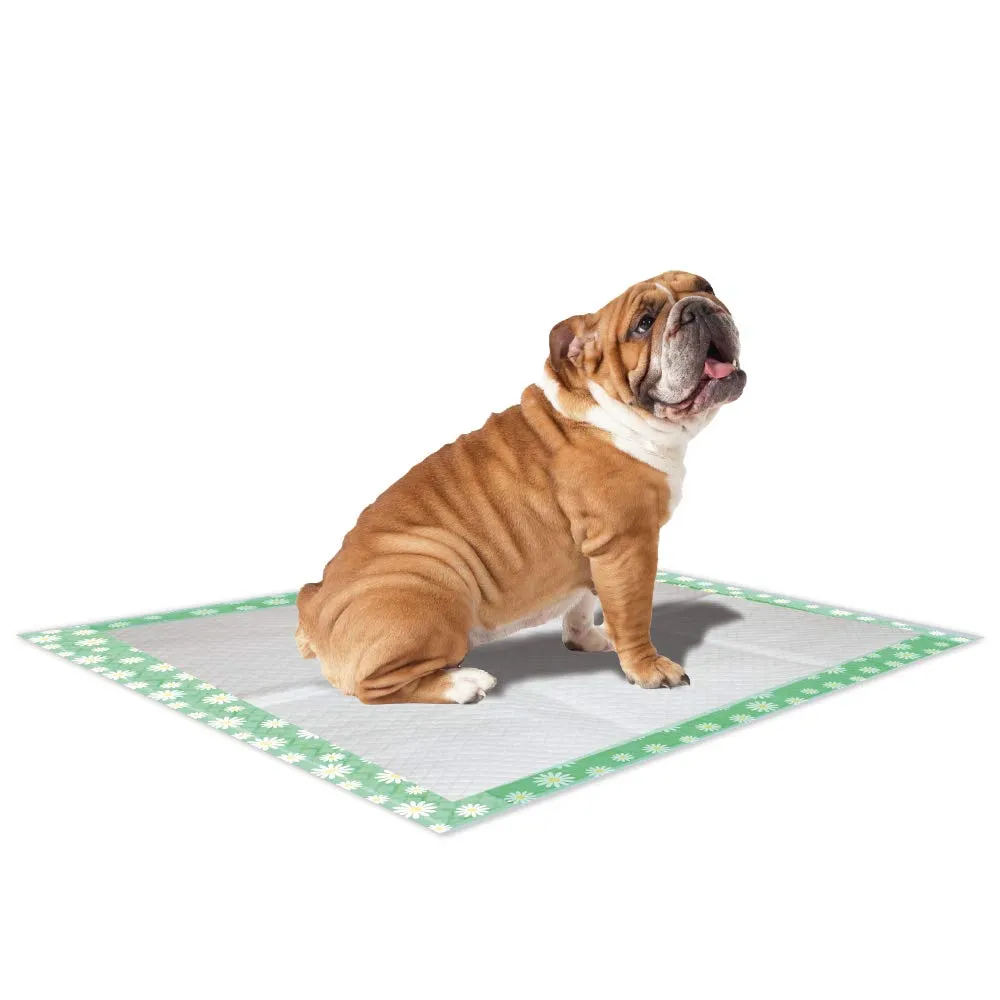 Croci Super Nappy Daisy - Tappetini Igienici per Cani 84X57 cm 30 Pezzi - Traverse Cani e Animali Domestici, per Pipi Cane e Gatto Ultra Assorbenti Usa e Getta, Antiodore e Profumati - immagine 2