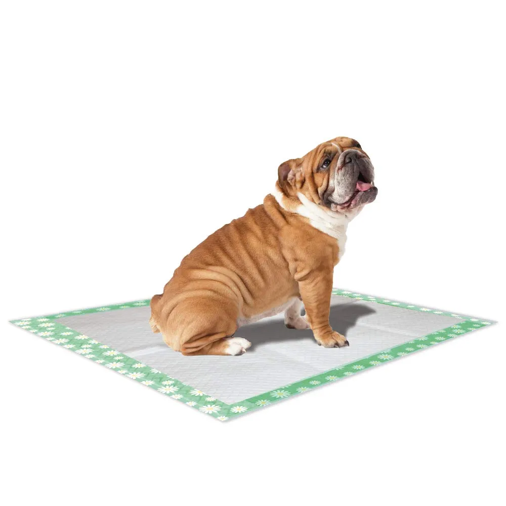 Croci Super Nappy Daisy - Tappetini Igienici per Cani 57X54 cm 30 Pezzi - Traverse Cani e Animali Domestici, per Pipi Cane e Gatto Ultra Assorbenti Usa e Getta, Antiodore e Profumati - immagine 2