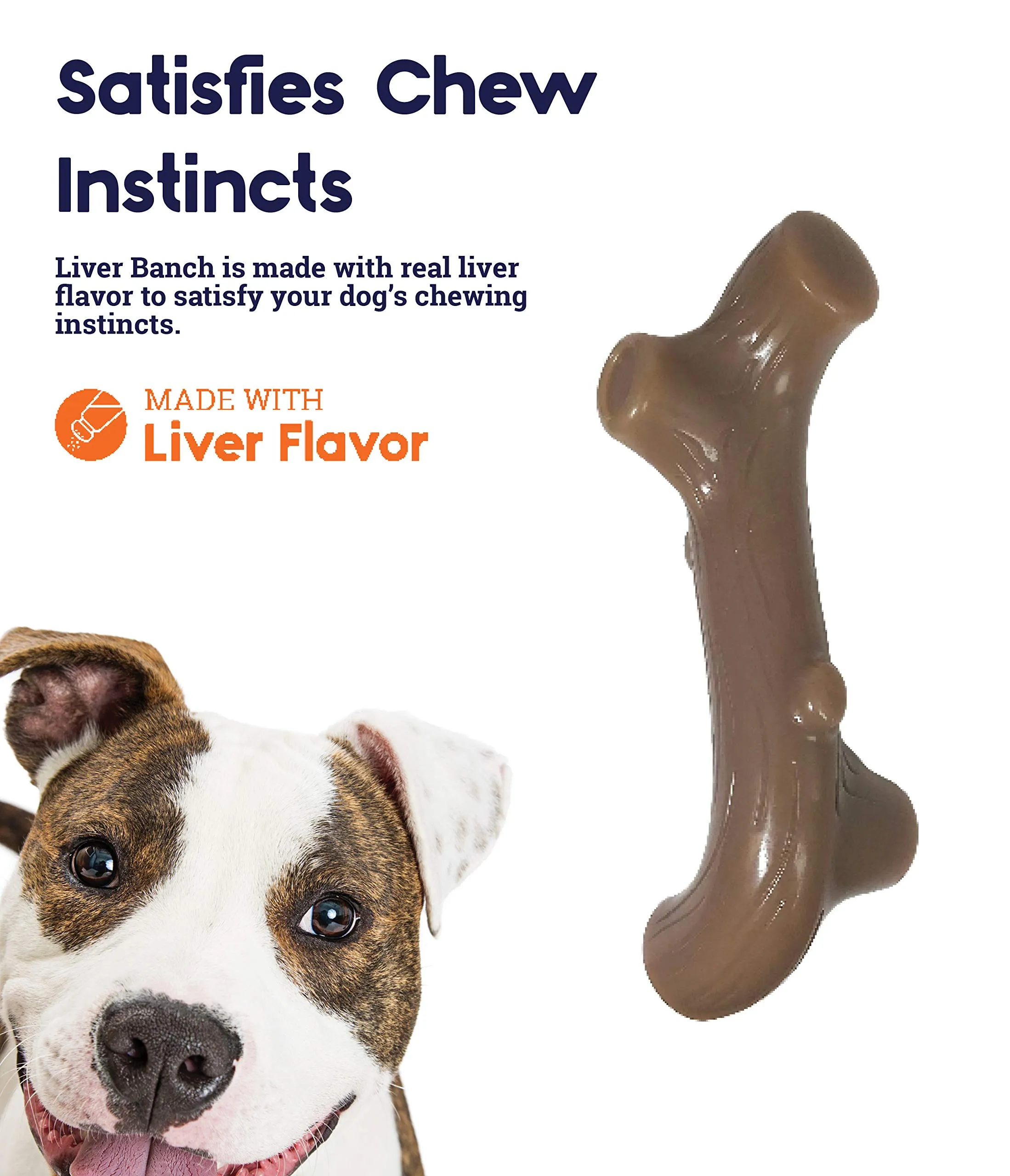 Petstages Liver Branch - Gioco da masticare per cani - bastoncino - sapore di fegato - nylon - small - immagine 3