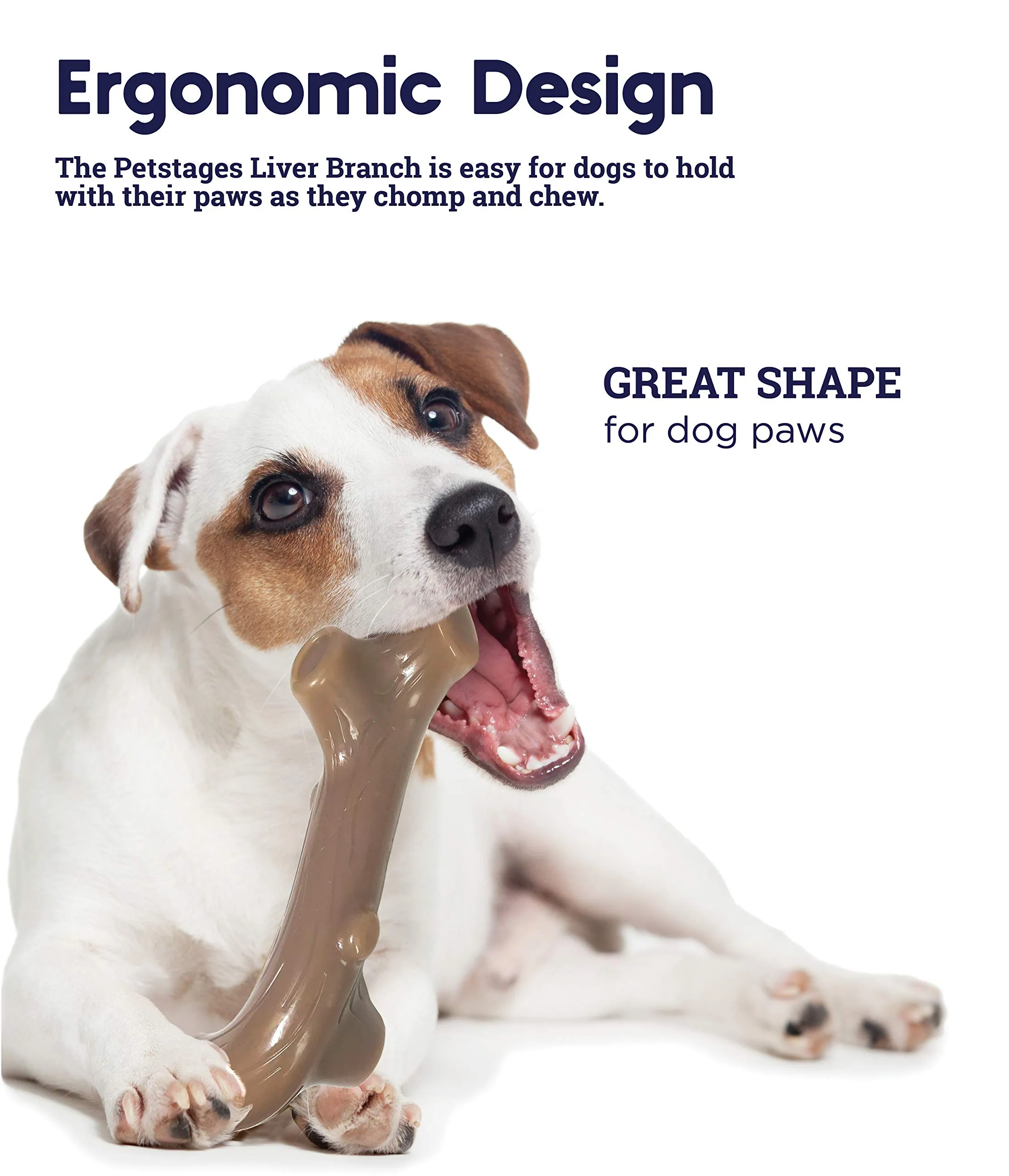 Petstages Liver Branch - Gioco da masticare per cani - bastoncino - sapore di fegato - nylon - small - immagine 5
