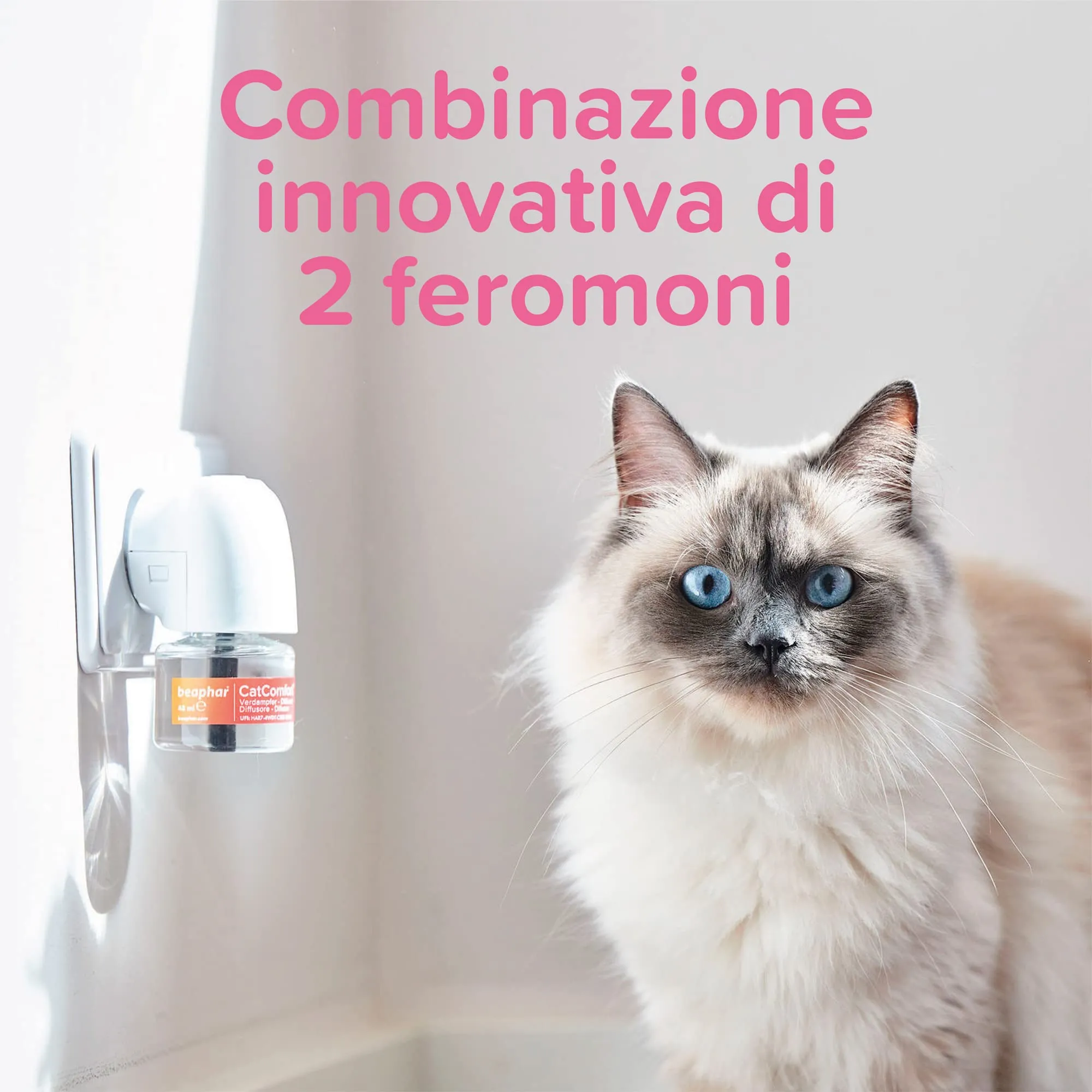 Beaphar CatComfort Excellence Starter Kit, Antistress Gatto con Feromoni Felini, 1 Diffusore + 1 Ricarica 48 ml per un Ambiente Calmo e Senza Stress, Copertura fino a 70 m2 - immagine 5