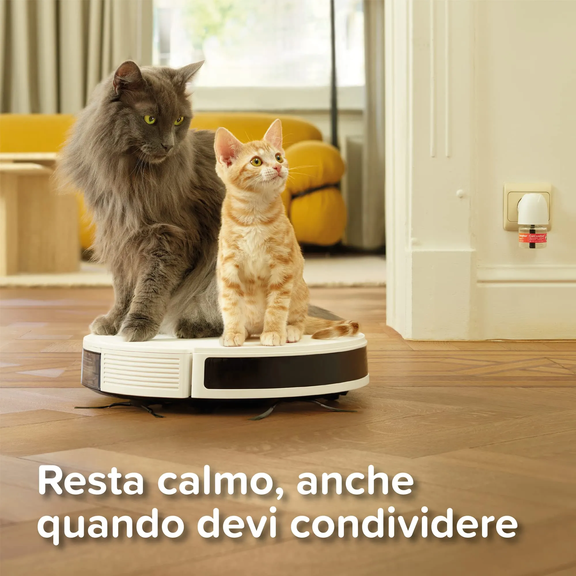 Beaphar CatComfort Excellence Starter Kit, Antistress Gatto con Feromoni Felini, 1 Diffusore + 1 Ricarica 48 ml per un Ambiente Calmo e Senza Stress, Copertura fino a 70 m2 - immagine 6