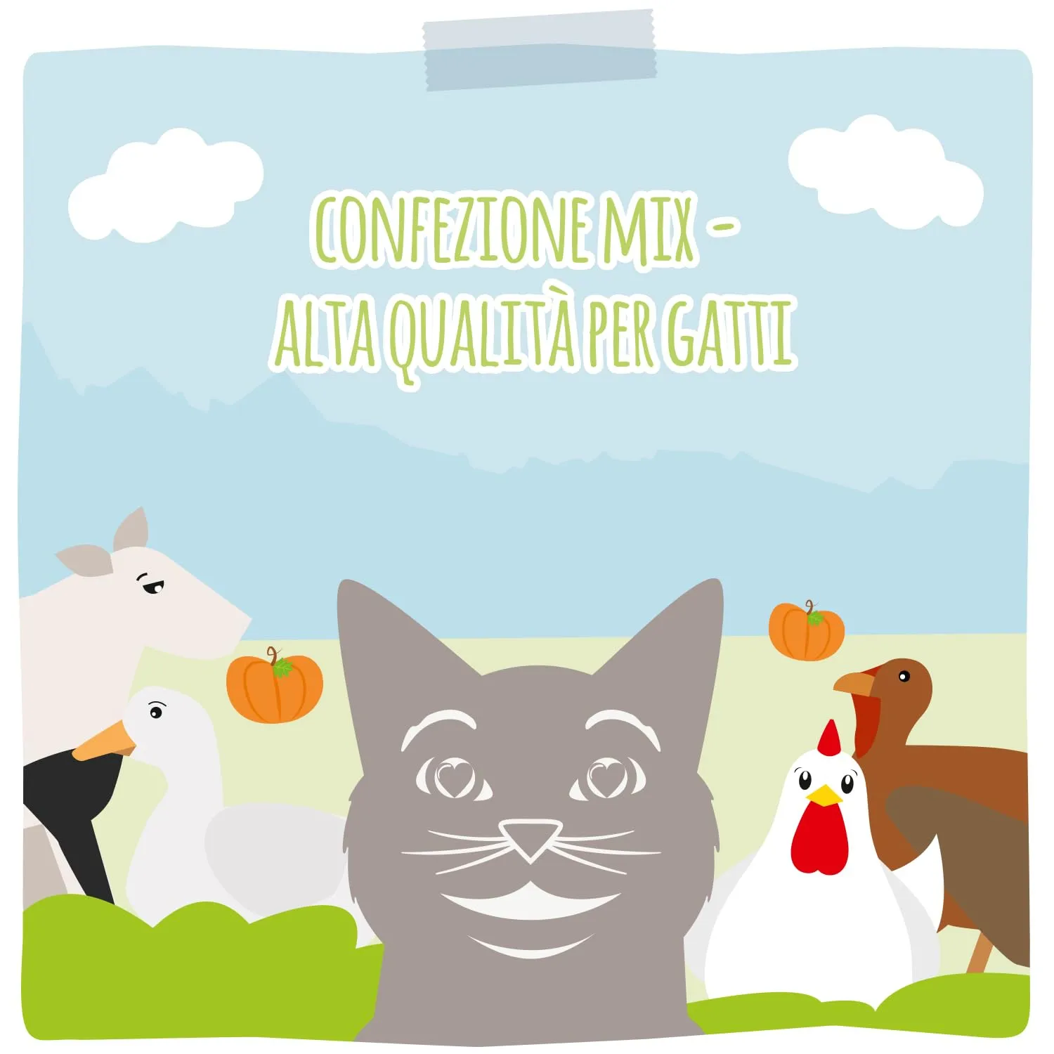 MjAMjAM Cibo umido premium per gatti, confezione mista III, pollo e zucca, tacchino, anatra e pollame, cuori, pollo, manzo, confezione da 6 (6 x 800 g), senza cereali con carne extra - immagine 5