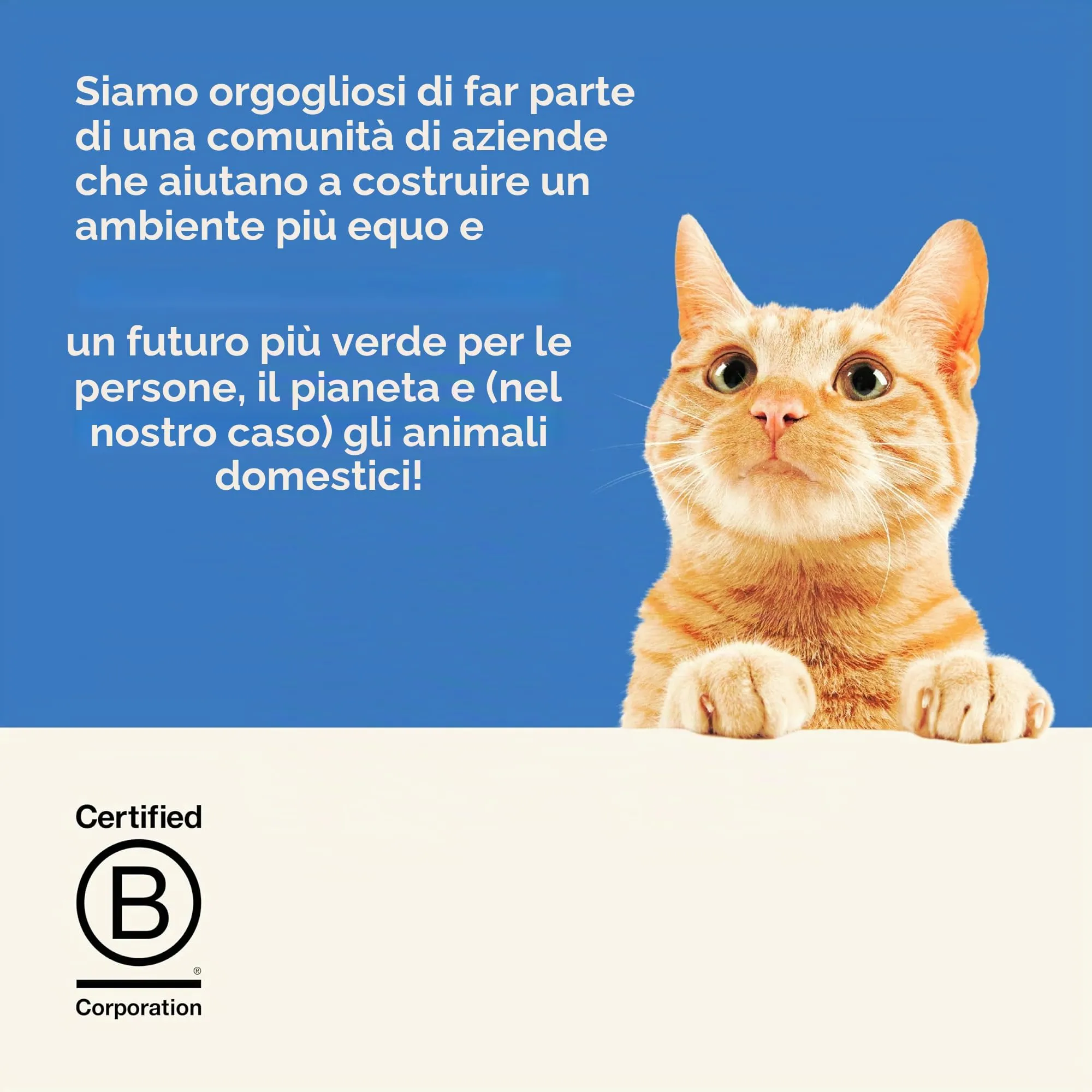 Applaws Cibo Umido per Gatti 100% Naturale – Topping di Brodo di Pesce con Salmone, in Bustine con Beccuccio da 85g - immagine 8