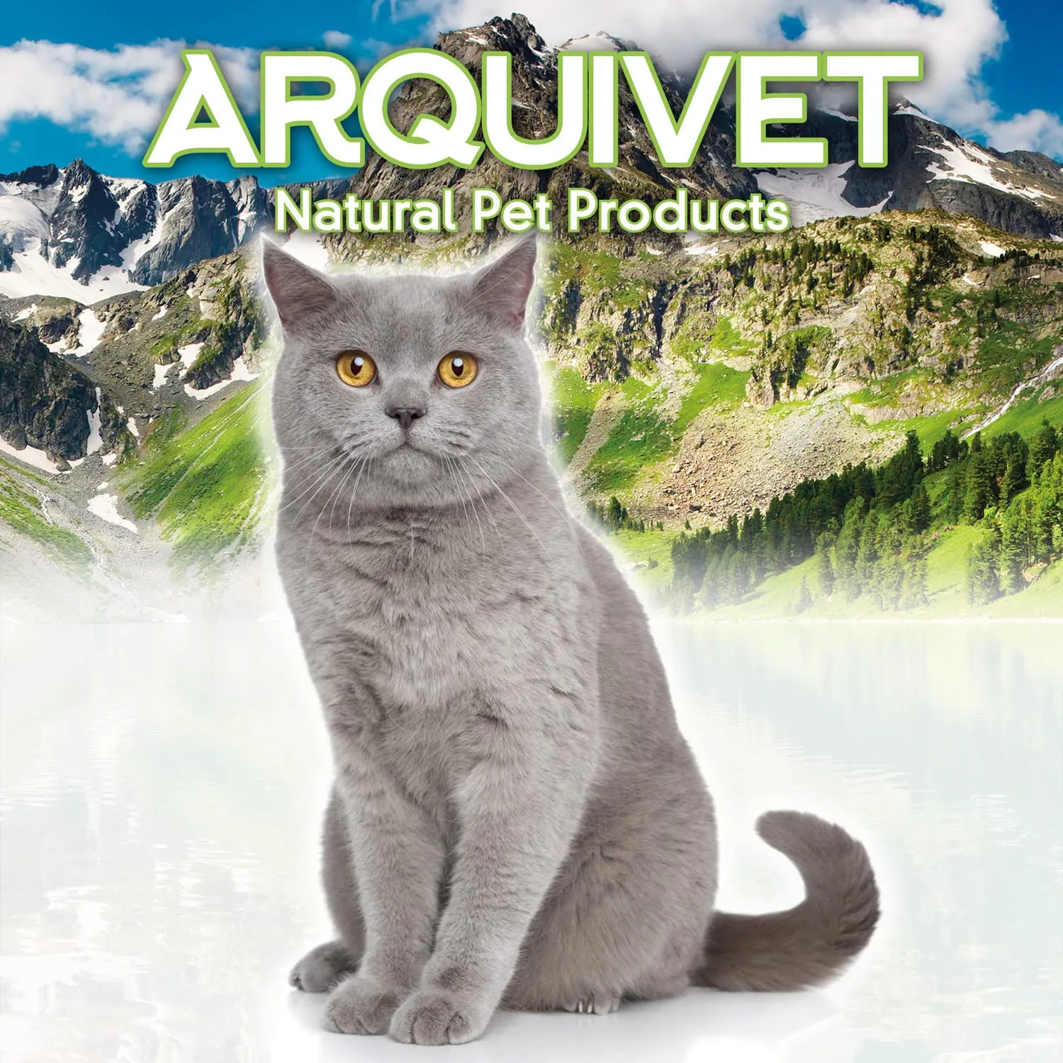 ARQUIVET Cubetti di pollo 50 gr per gatti - Snack 100% naturali per gatti - Prodotto a basso contenuto di grassi, leggero - Natural Cat Snacks - immagine 4