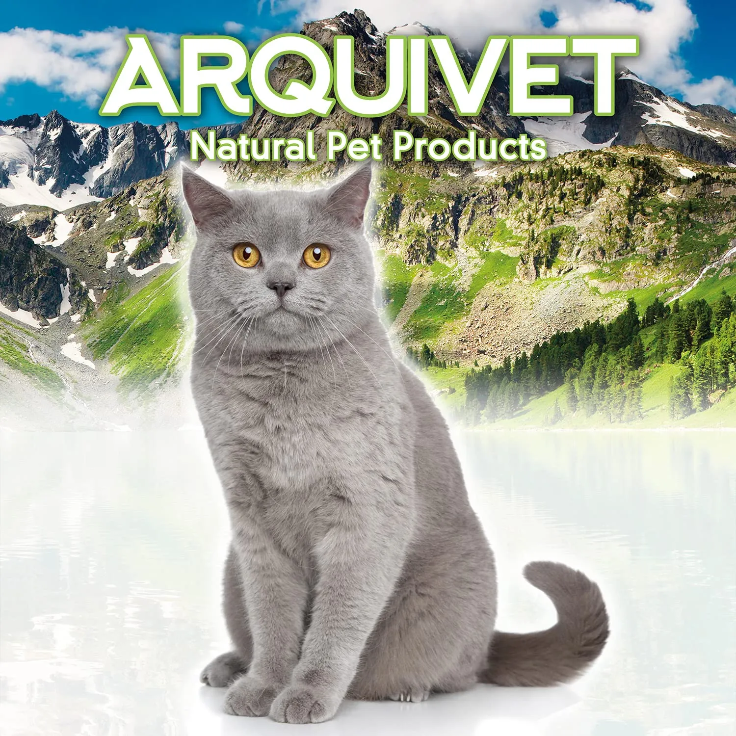 ARQUIVET Pack 24 unità - Sandwich di pollo - 50 gr - Panini al pollo - Snack 100% naturali per gatti - Prodotto a basso contenuto di grassi, leggero - Natural Cat Snacks - immagine 7