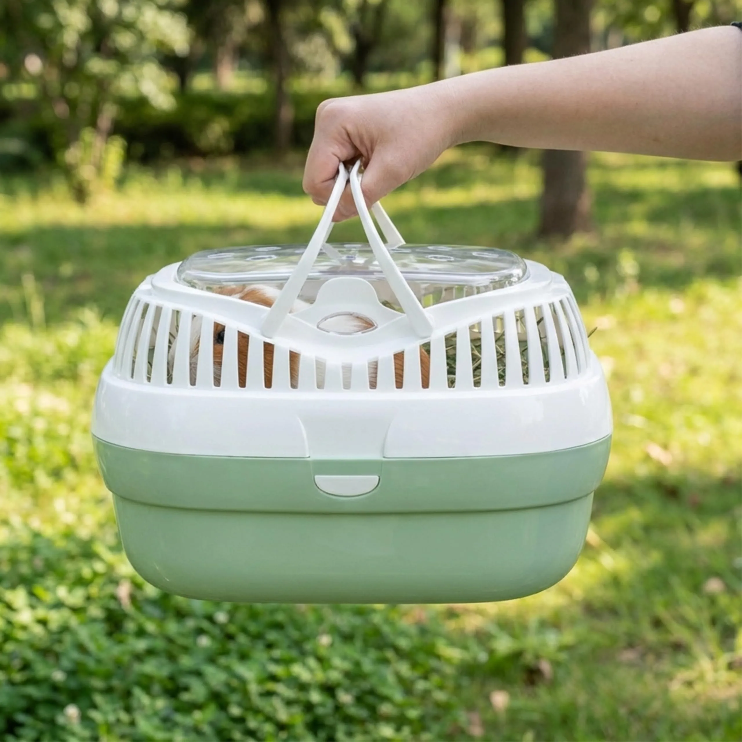 Ferplast Trasportino per Conigli, Porcellini d'india e ratti ALADINO LARGE, Plastica con Coperchio Trasparente, Fessure di ventilazione e Maniglia - immagine 2