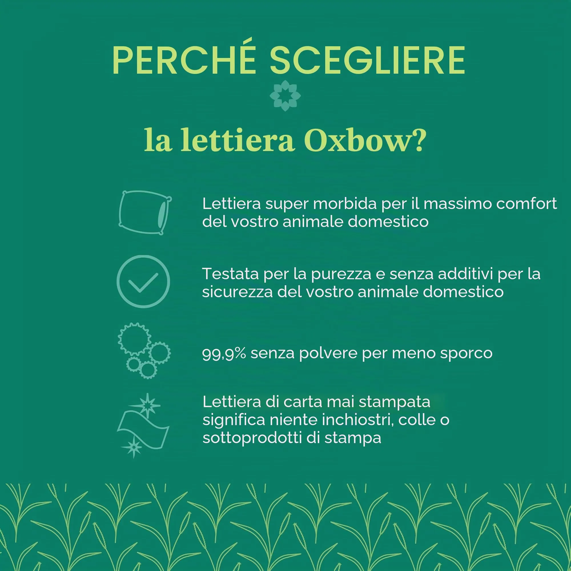 Oxbow Pure Comfort - Biancheria da Letto, 8,2 Litri, Colore: Bianco - immagine 5