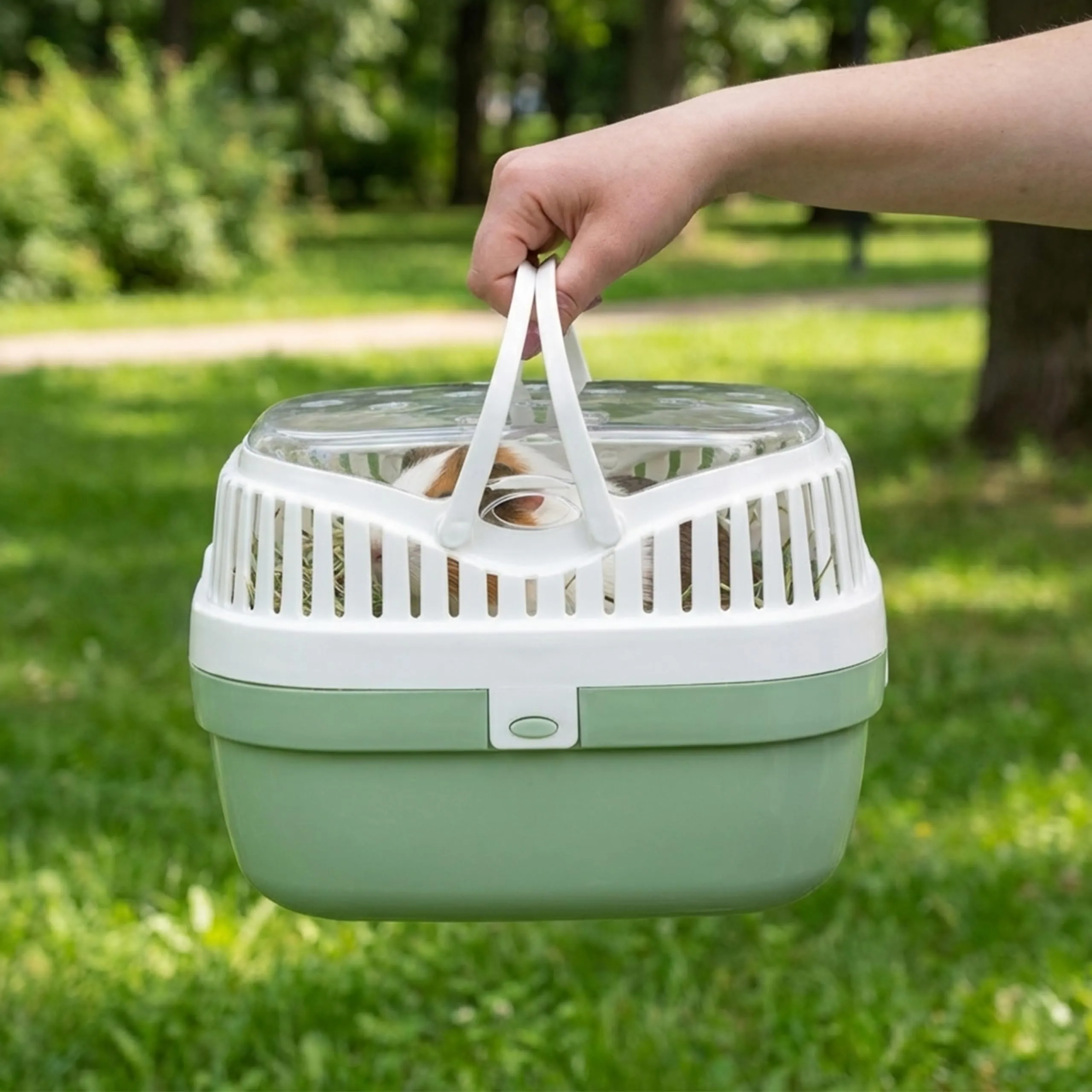Ferplast Trasportino per porcellini d'india e altri roditori ALADINO MEDIUM Fessure di ventilazione, Comoda maniglia, Chiusura sicura, 30 x 23 x h 21 cm Blu - immagine 2