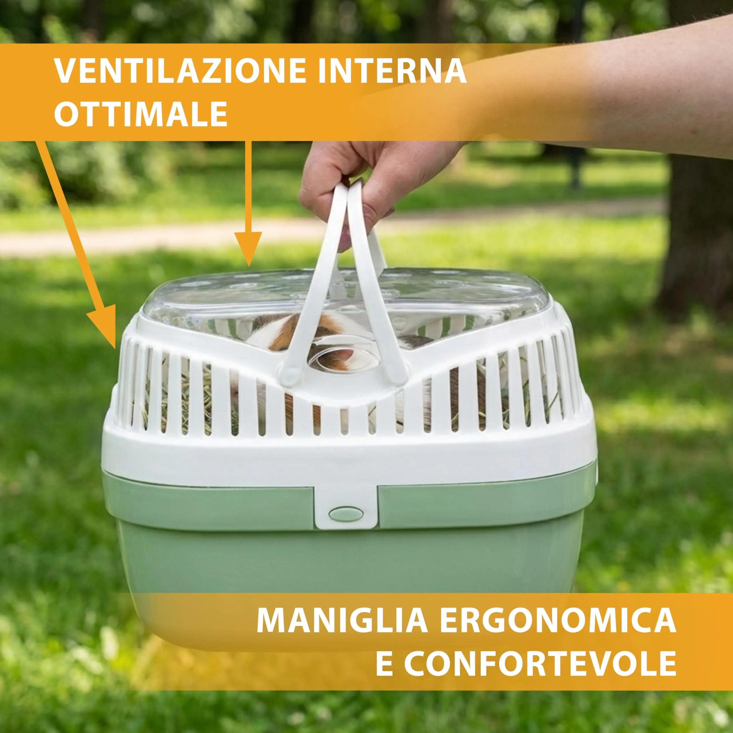Ferplast Trasportino per porcellini d'india e altri roditori ALADINO MEDIUM Fessure di ventilazione, Comoda maniglia, Chiusura sicura, 30 x 23 x h 21 cm Blu - immagine 5