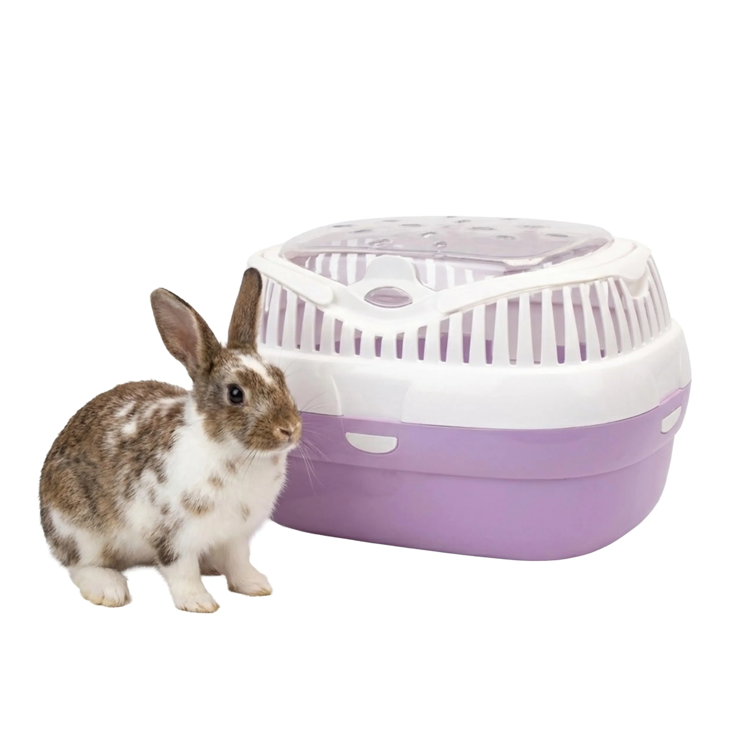 Ferplast Trasportino per conigli, porcellini d'india e ratti ALADINO LARGE Fessure di ventilazione, Comoda maniglia, Chiusura sicura, 36 x 26 x h 23 cm, Fucsia - immagine 1
