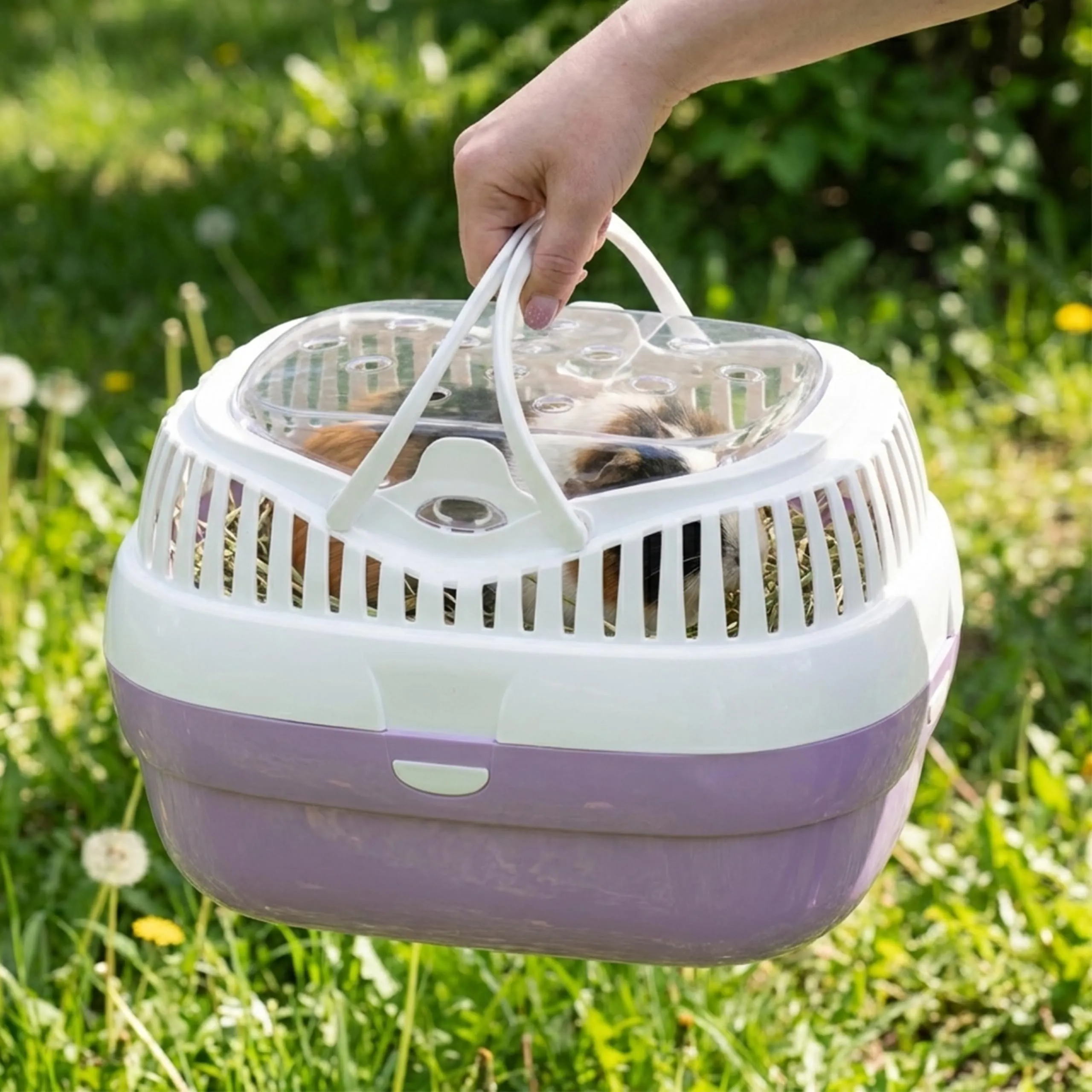 Ferplast Trasportino per conigli, porcellini d'india e ratti ALADINO LARGE Fessure di ventilazione, Comoda maniglia, Chiusura sicura, 36 x 26 x h 23 cm, Fucsia - immagine 2