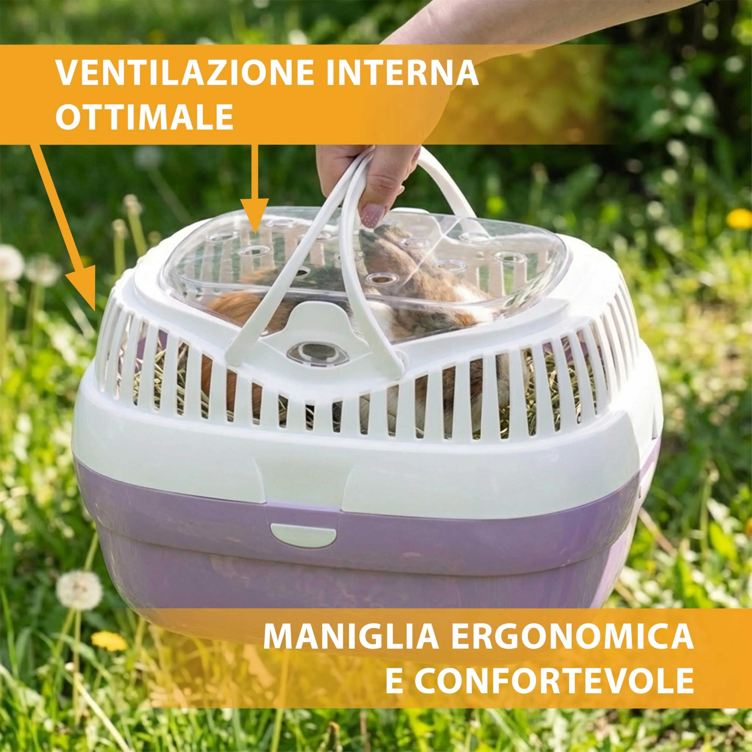 Ferplast Trasportino per conigli, porcellini d'india e ratti ALADINO LARGE Fessure di ventilazione, Comoda maniglia, Chiusura sicura, 36 x 26 x h 23 cm, Fucsia - immagine 5