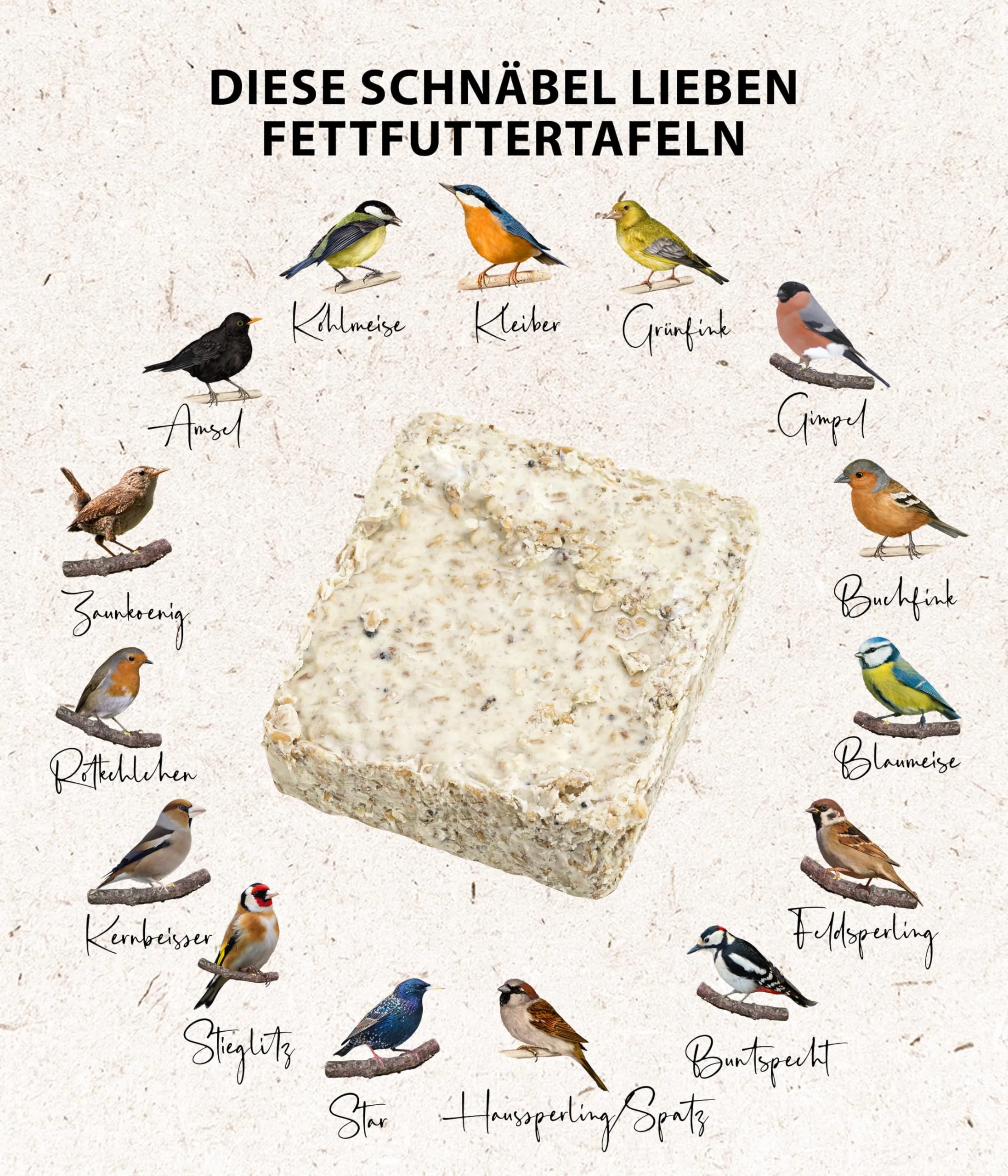 Dehner Natura Premium Tavolette di mangime per uccelli selvatici, Cibo grasso con insetti, Mangime integrativo per uccelli che si nutrono di cereali e cibi morbidi, per tutte le stagioni, 12 x 300 g - immagine 6