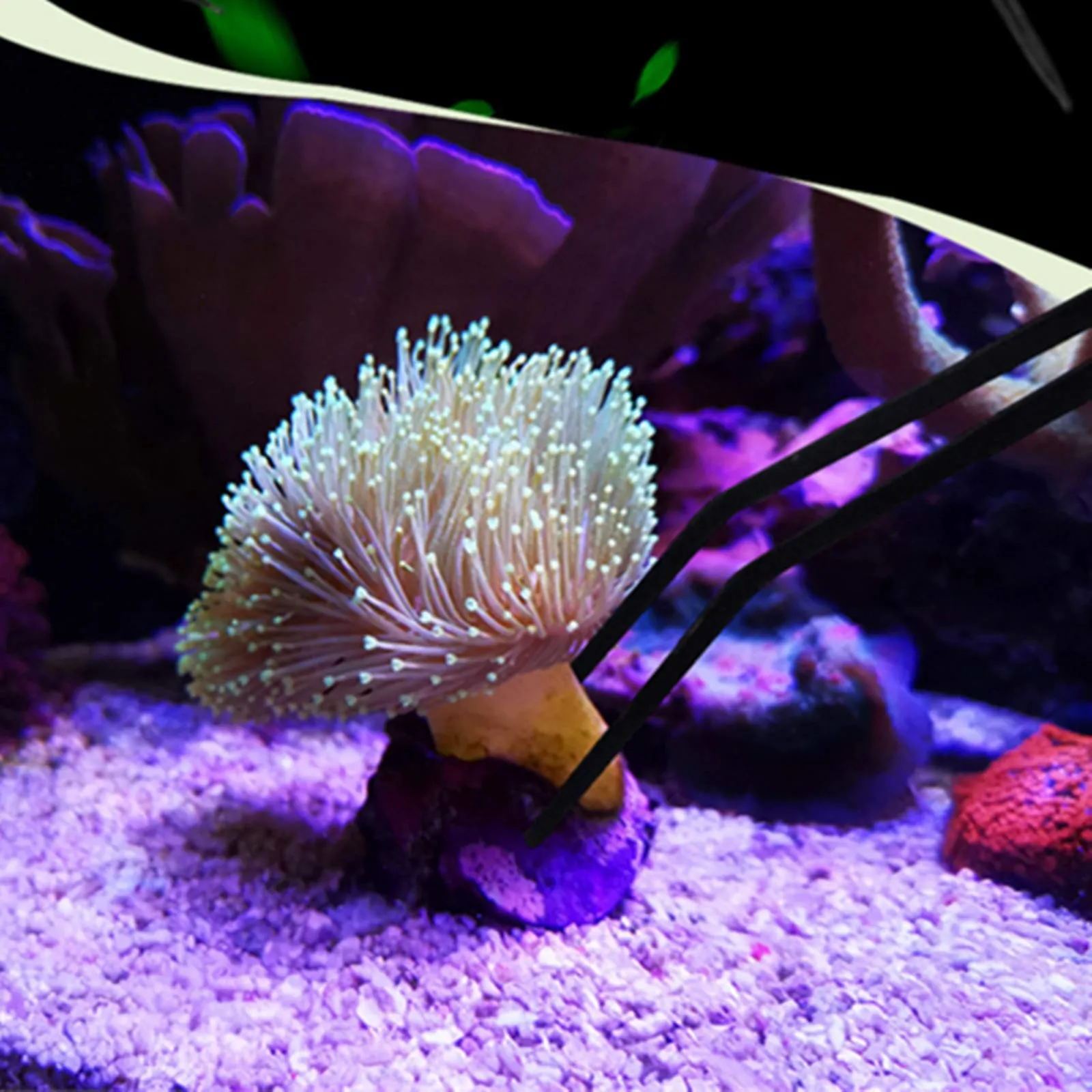 Pinzette curve per acquario, 38,1 cm, in acciaio inossidabile, con rivestimento anti-carbonizzazione e carbonizzazione, antiruggine e rettili lunghi, per piante acquatiche, ragni, serpenti e - immagine 2
