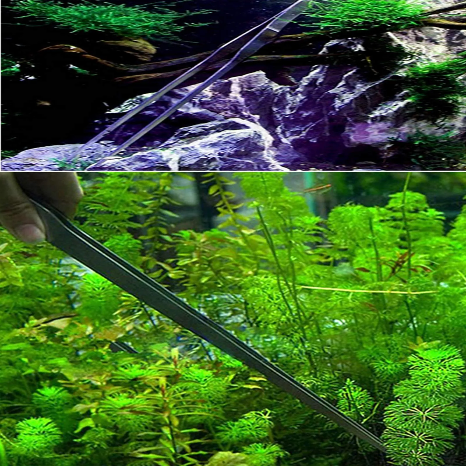 Pinzette curve per acquario, 38,1 cm, in acciaio inossidabile, con rivestimento anti-carbonizzazione e carbonizzazione, antiruggine e rettili lunghi, per piante acquatiche, ragni, serpenti e - immagine 4
