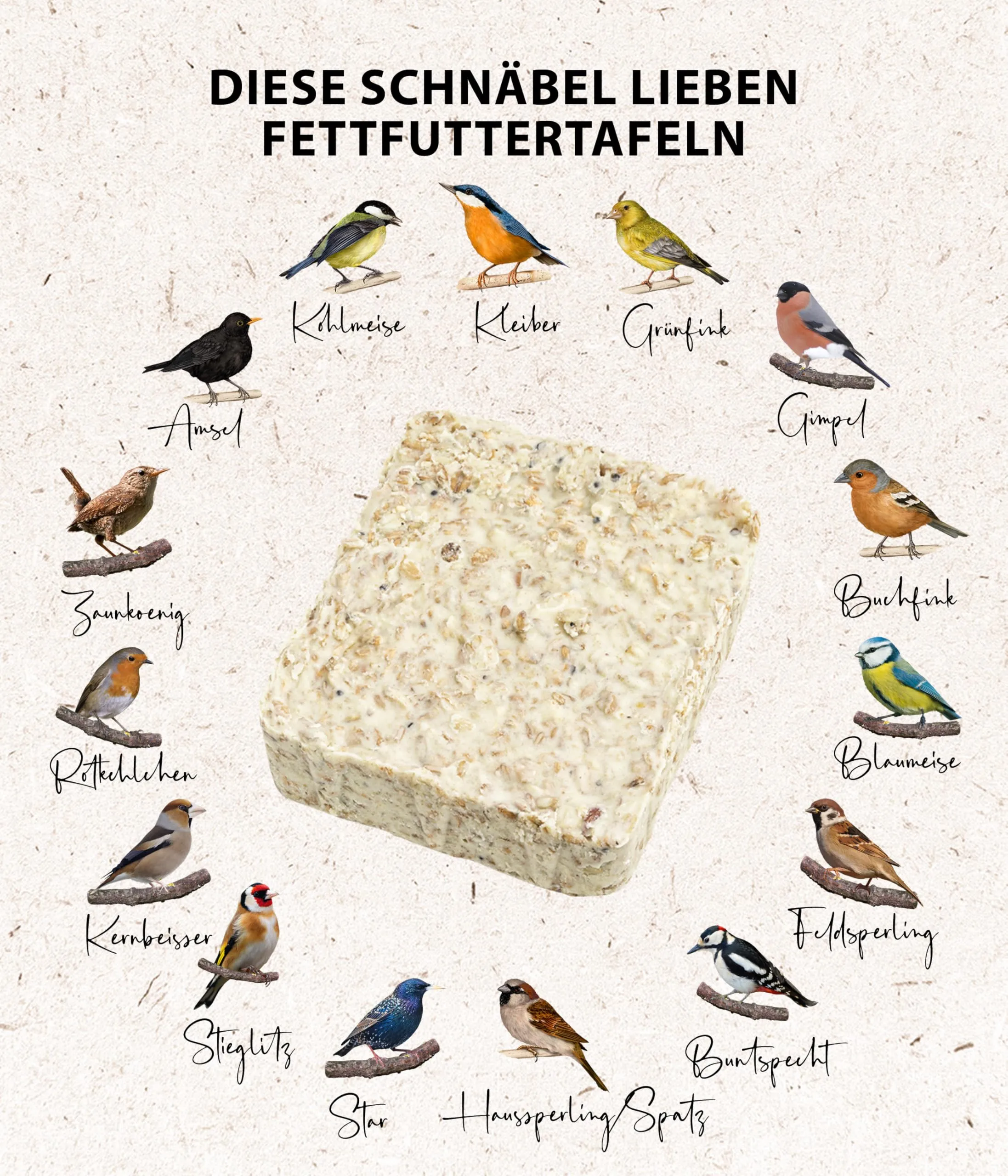 Dehner Natura Premium barrette di mangime per uccelli selvatici con arachidi, 12 x 300 g (3,6 kg) - immagine 4