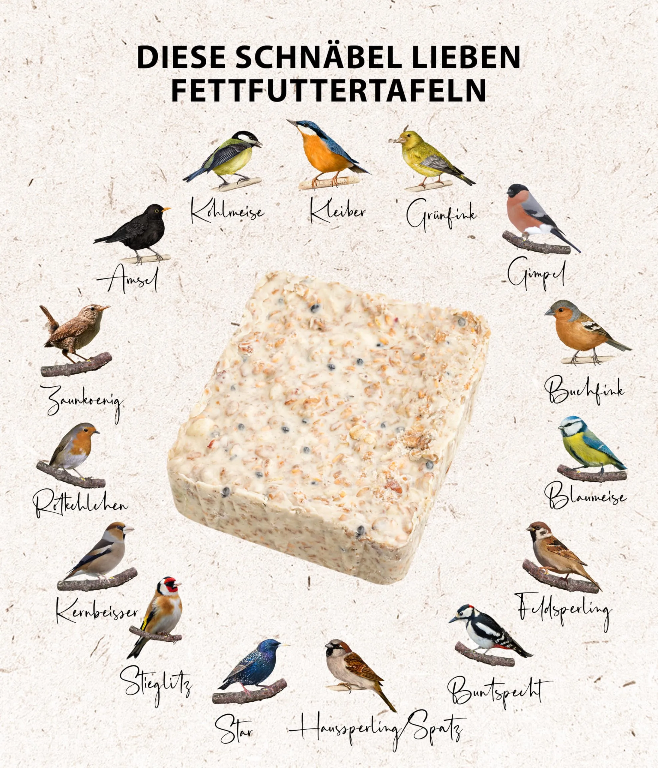 Dehner Natura Premium Tavolette di mangime per uccelli selvatici con bacche, 12 x 300 g (3,6 kg) - immagine 4