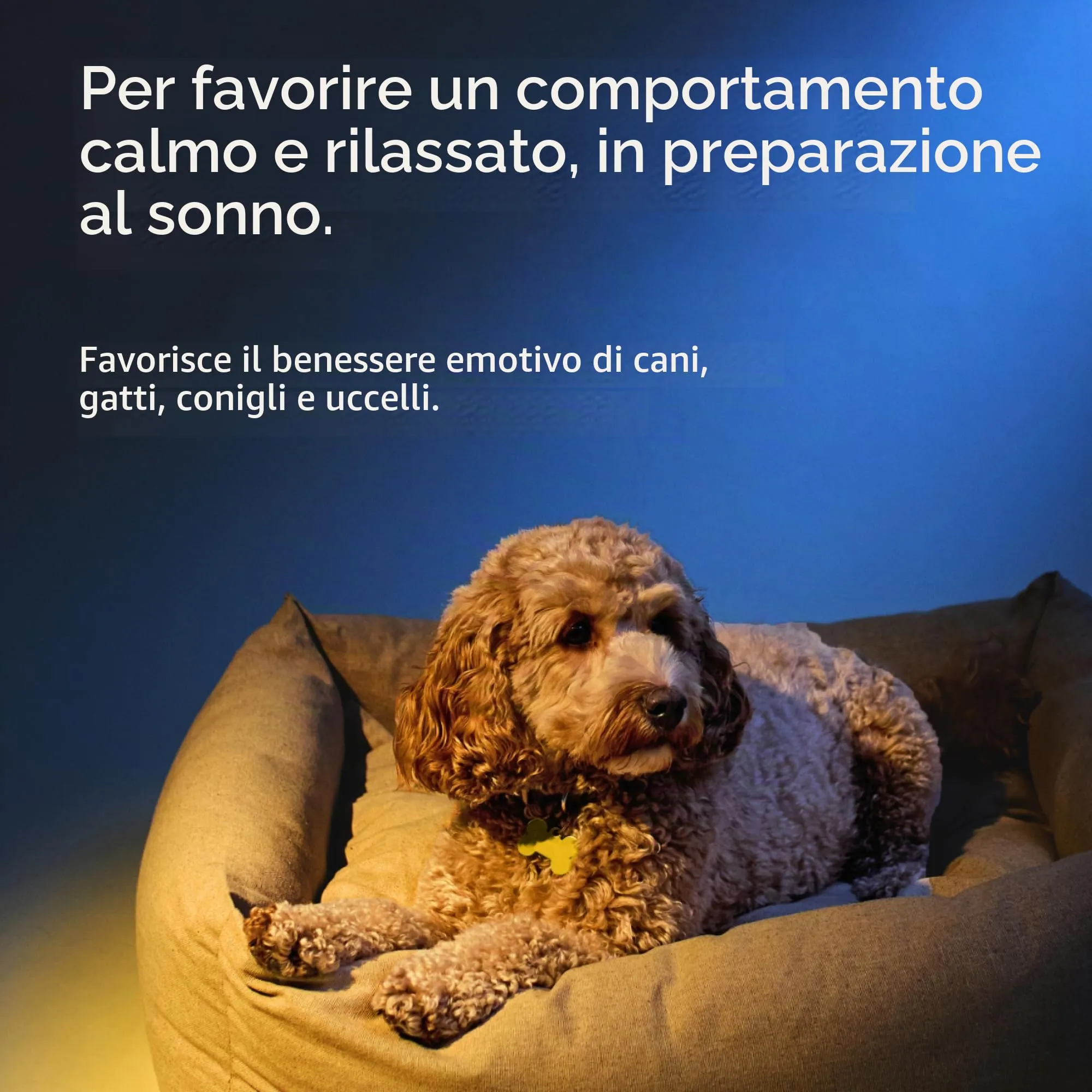 RESCUE NOIT PETS - Contagocce - Serenità per animali, ideale da viaggio, toelettatura, rumore, vegano e senza alcool, 20 ml - immagine 3