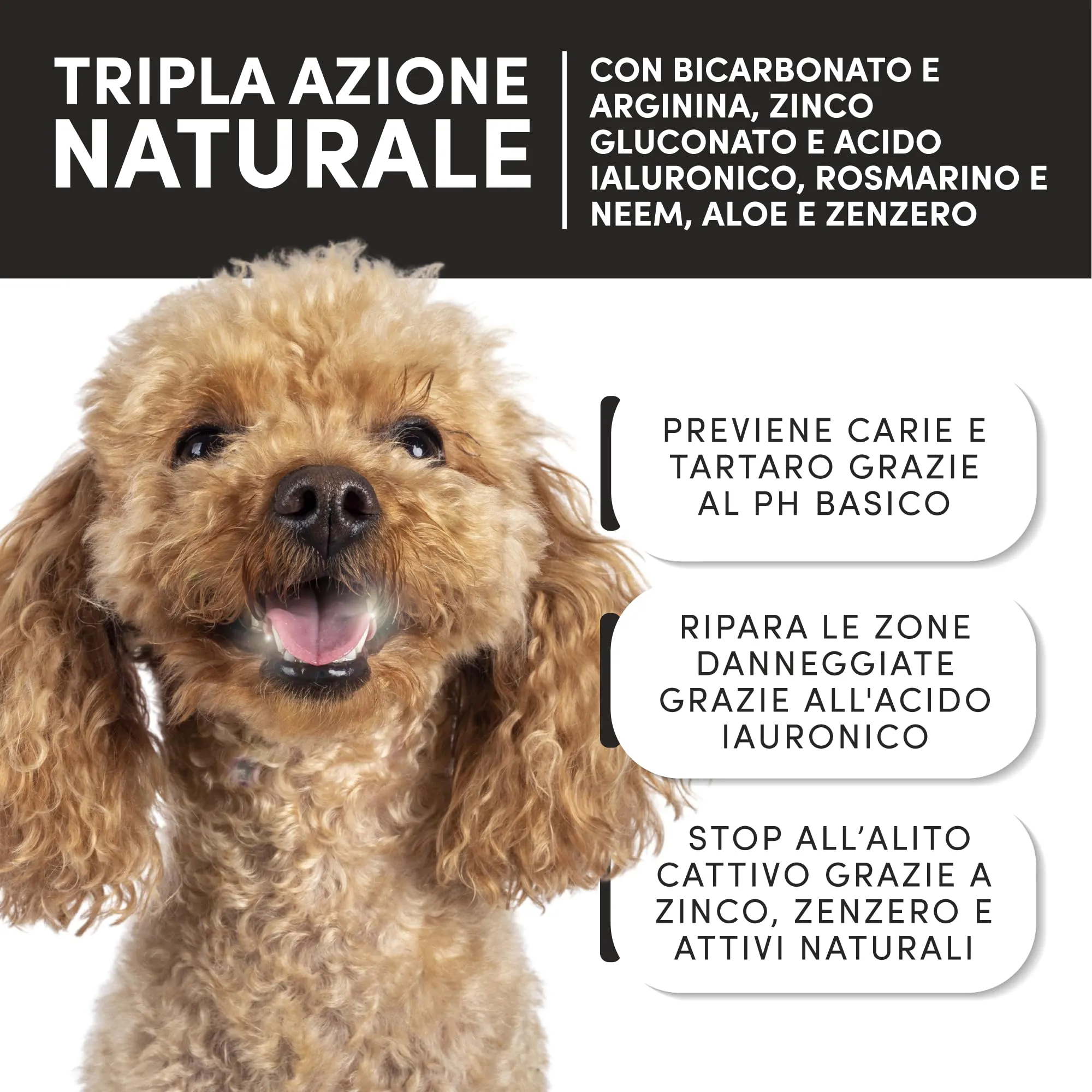 Happy Pet Dentifricio Spray per Cani 150ml – Naturale Antiplacca e Antitartaro – Alito Fresco – Senza Spazzolino – Disponibile in 3 Aromi: Neutro, Menta, Pesca (150ML, Menta) - immagine 2