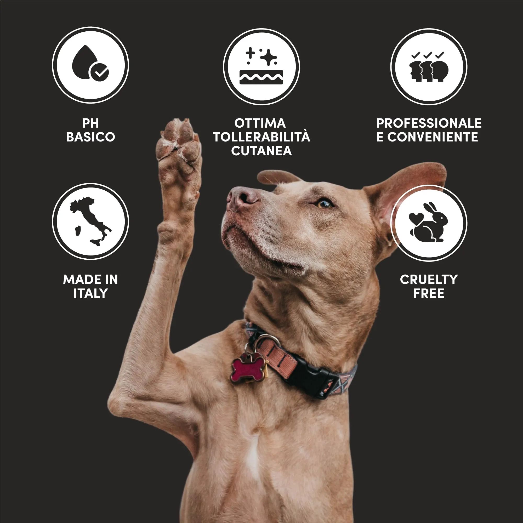 Happy Pet Dentifricio Spray per Cani 150ml – Naturale Antiplacca e Antitartaro – Alito Fresco – Senza Spazzolino – Disponibile in 3 Aromi: Neutro, Menta, Pesca (150ML, Menta) - immagine 5
