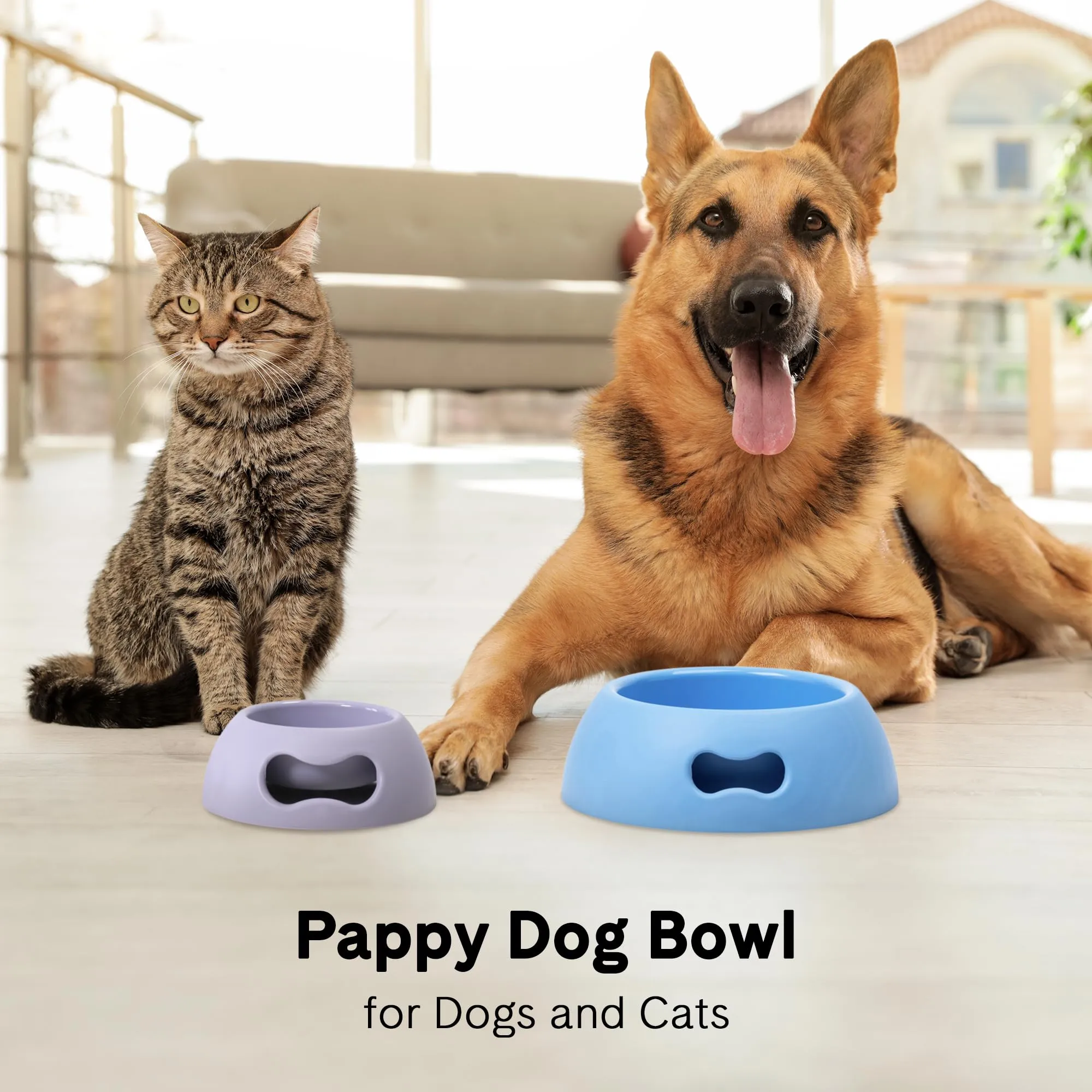 United Pets Pappy Ciotola Grande per Cani, Eco-Friendly, di Design, Made in Italy, Lilla, Capacità 2200ml - immagine 6