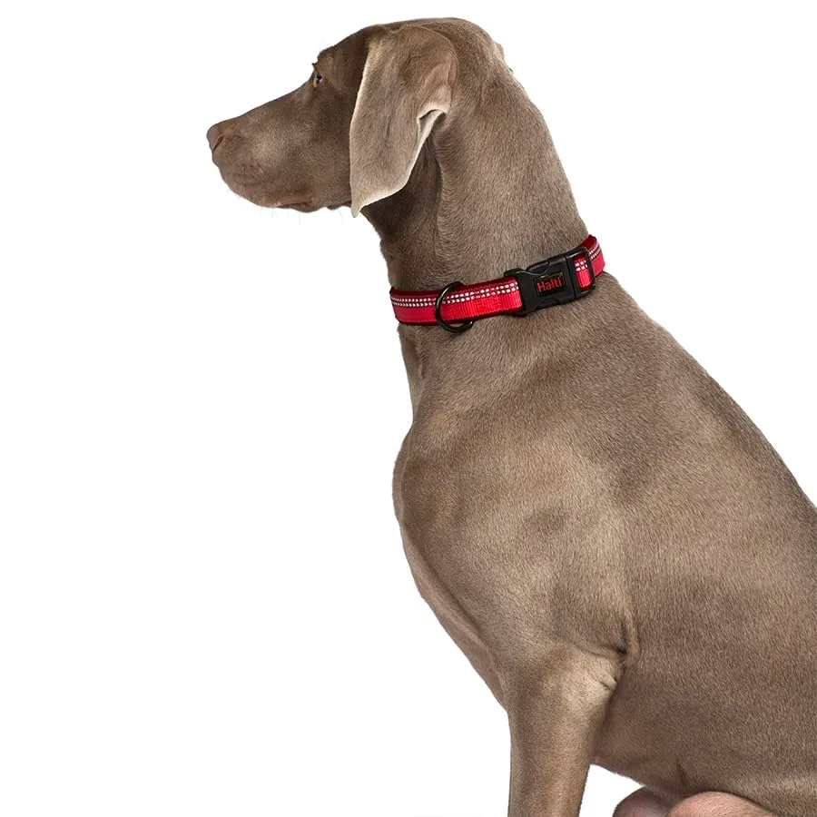 Collare per cani Halti | Taglia XS, Viola - immagine 3