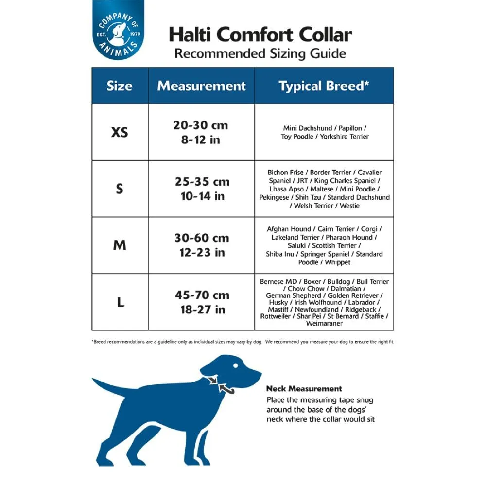 Collare per cani Halti | Taglia XS, Viola - immagine 5