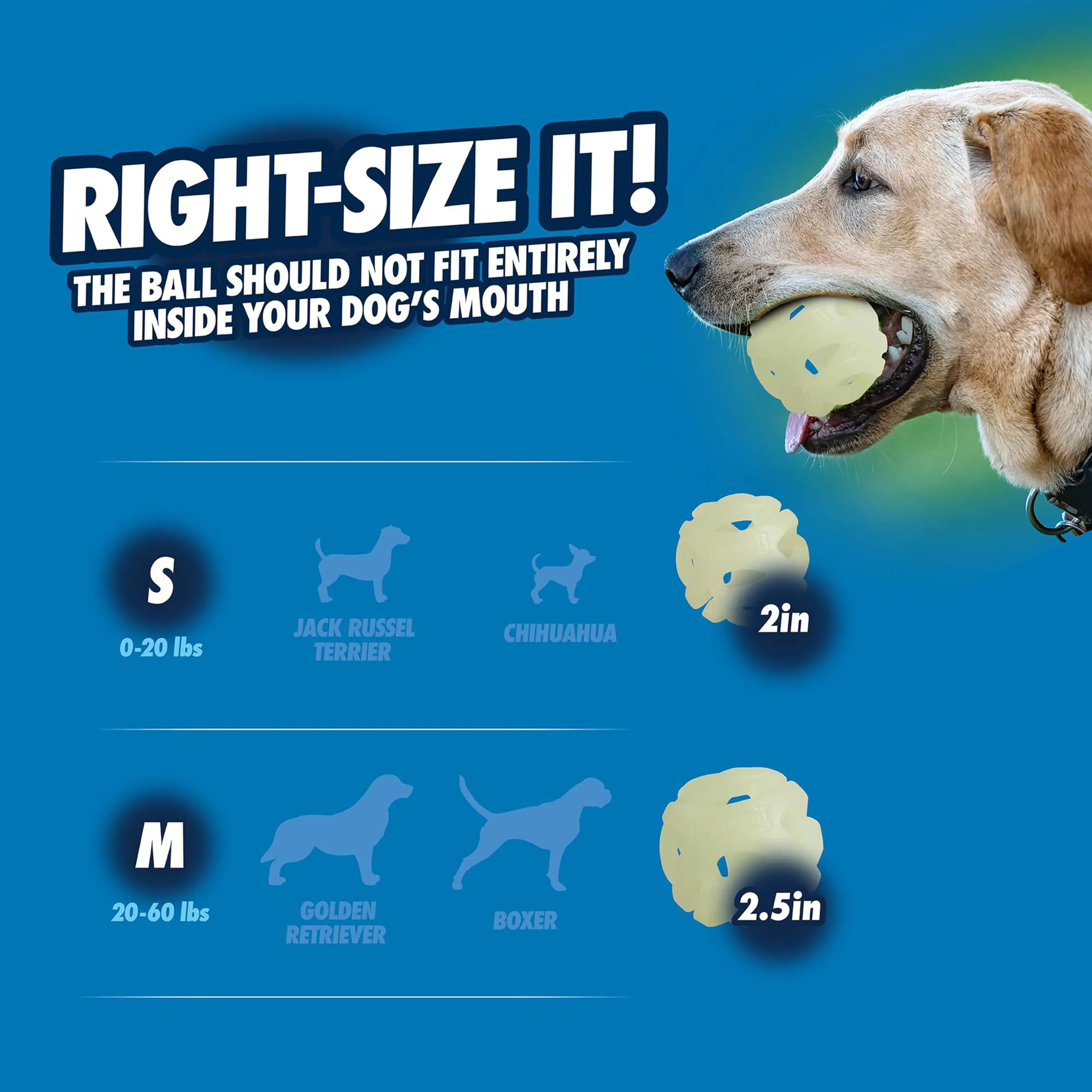 Chuckit! – Air Glow Ball – Palla fosforescente per cani – Giocattolo di recupero per – Che facilita la circolazione dell'aria per cani – Misura media – Diametro di 6,5 cm – Confezione da 2 palline - immagine 4