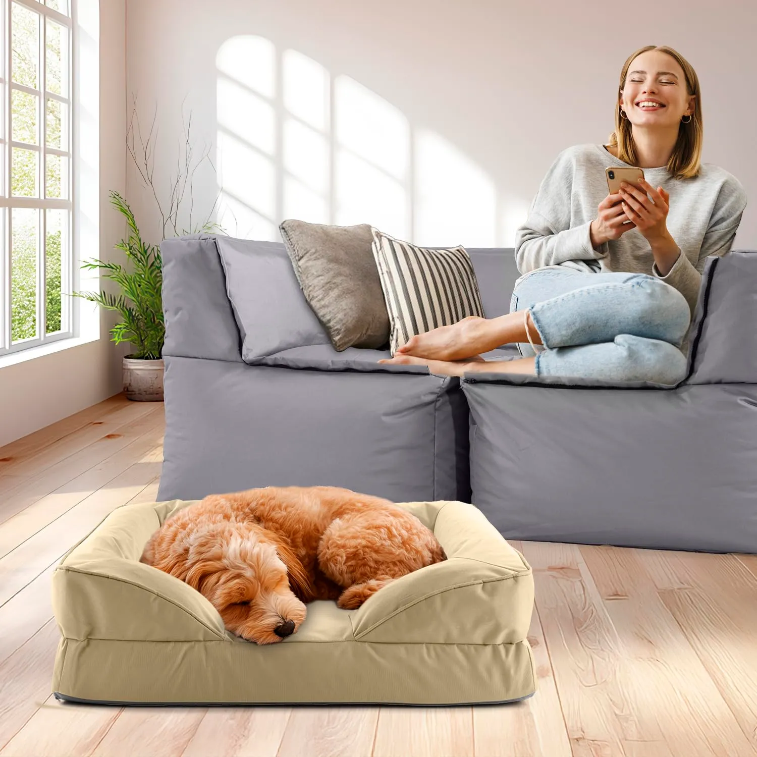Lumaland Cuccia ortopedica per cani per esterni e interni, divano ergonomico 70 x 60 cm, ideale per cani di piccola taglia, fondo antiscivolo, imbottitura e rivestimento lavabile, cestino per cani - immagine 2