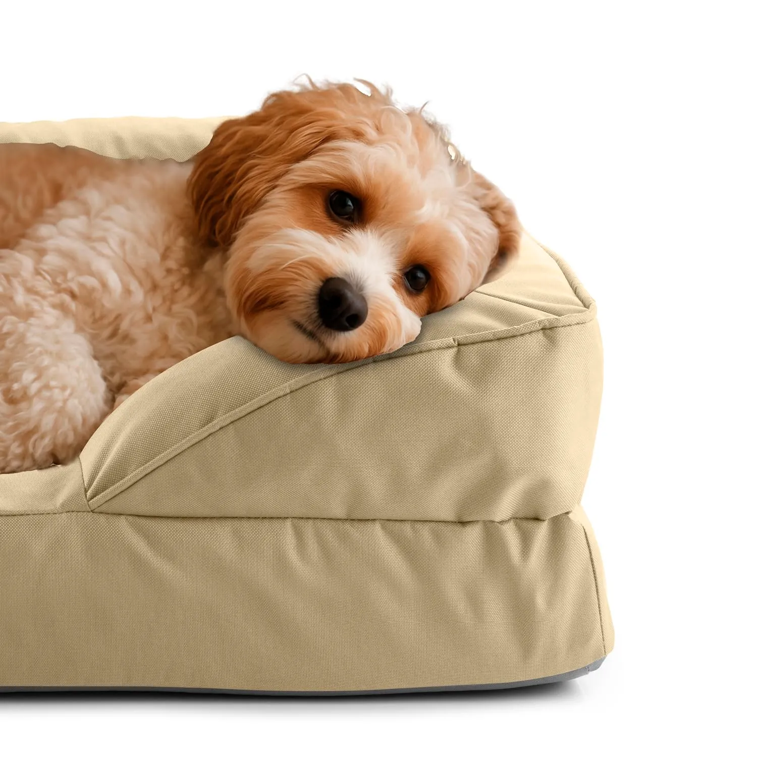 Lumaland Cuccia ortopedica per cani per esterni e interni, divano ergonomico 70 x 60 cm, ideale per cani di piccola taglia, fondo antiscivolo, imbottitura e rivestimento lavabile, cestino per cani - immagine 3
