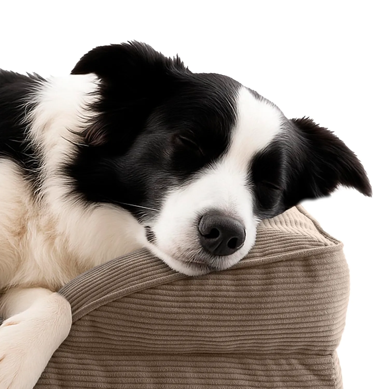 Lumaland Cuccia ortopedica per cani in corda, divano ergonomico 90 x 65 cm, con fondo antiscivolo, imbottitura e fodera lavabile - immagine 3