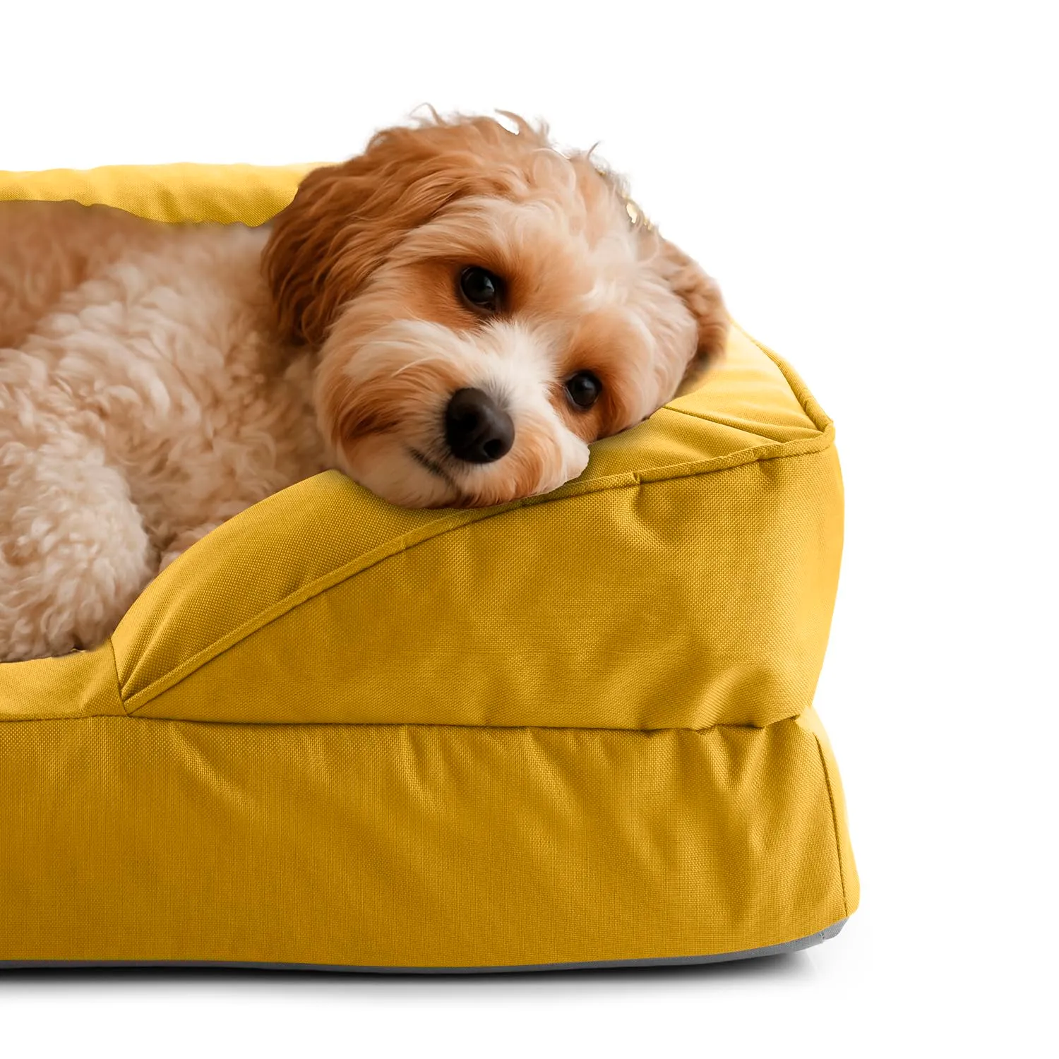 Lumaland Cuccia ortopedica per cani per esterni e interni, divano ergonomico 70 x 60 cm, ideale per cani di piccola taglia, fondo antiscivolo, imbottitura e rivestimento lavabile, cestino per cani - immagine 3