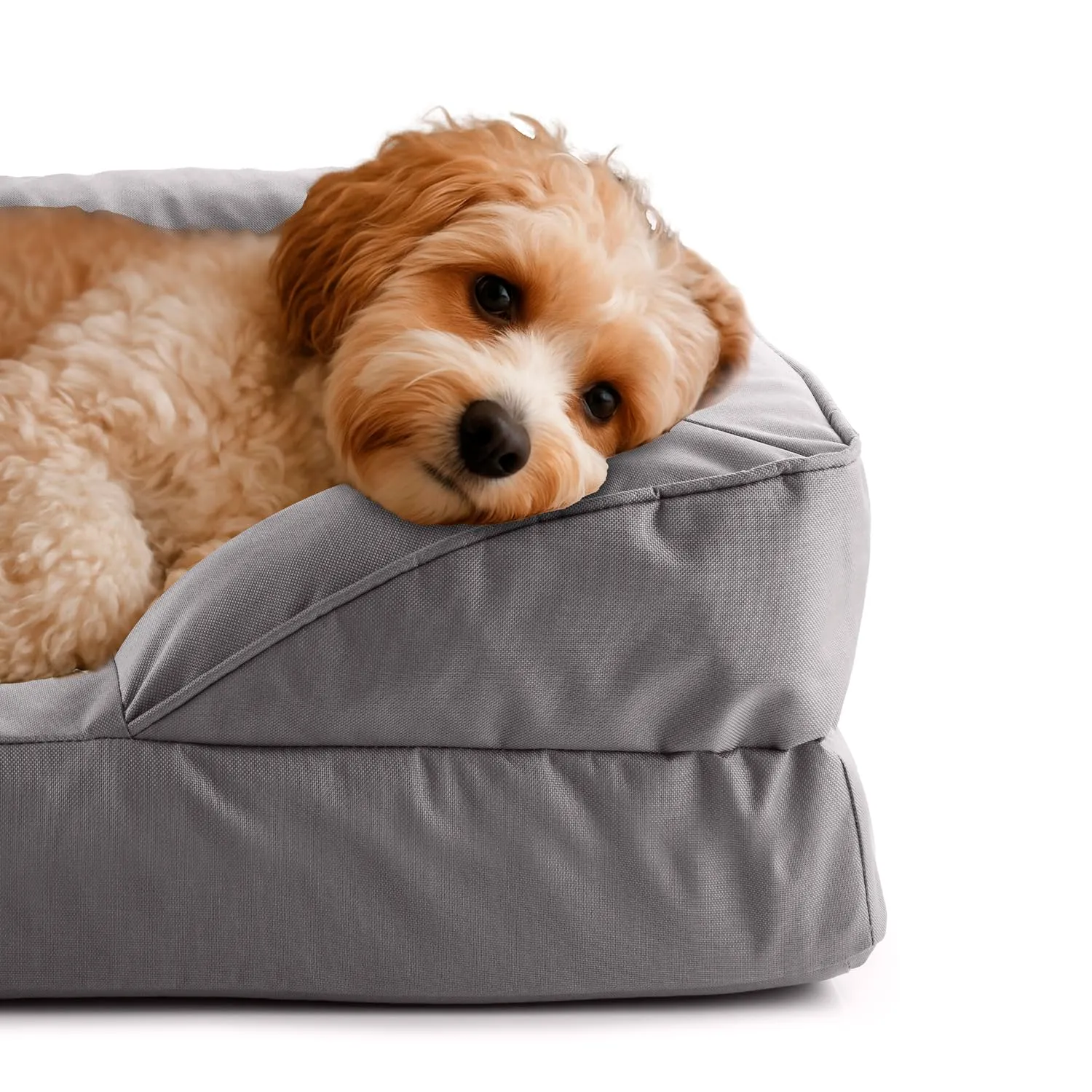 Lumaland Cuccia ortopedica per cani per esterni e interni, divano ergonomico 70 x 60 cm, ideale per cani di piccola taglia, fondo antiscivolo, imbottitura e rivestimento lavabile, cestino per cani - immagine 3