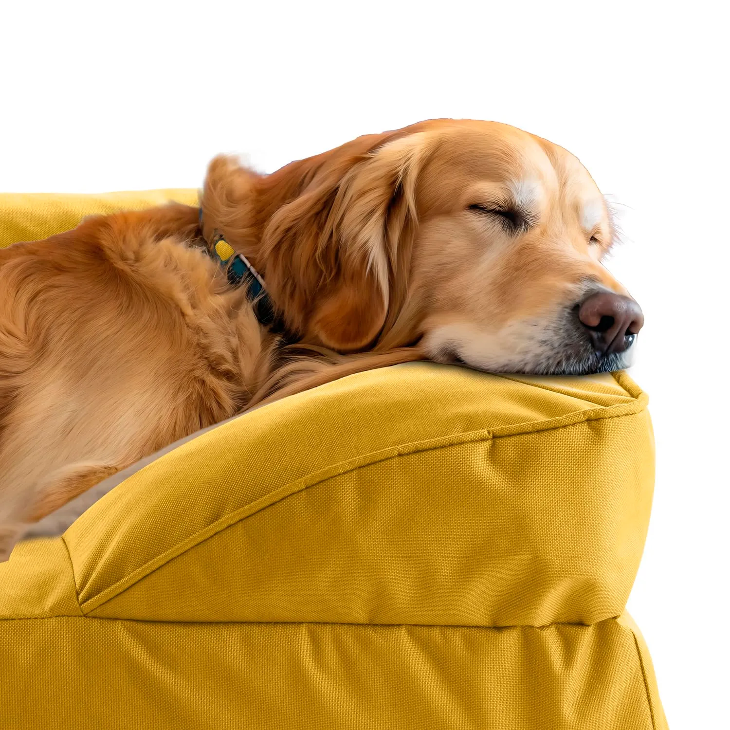 Lumaland Cuccia ortopedica per cani di taglia grande, con fondo antiscivolo, imbottitura e fodera lavabile, impermeabile - immagine 3