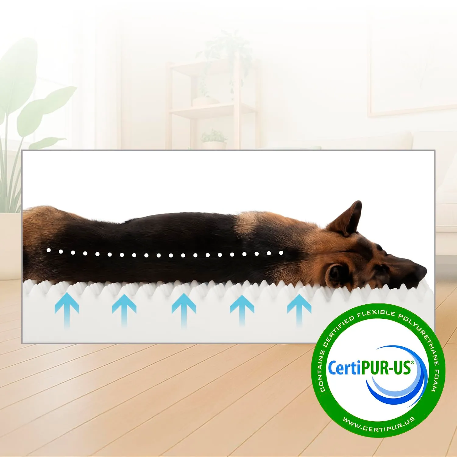 Lumaland Cuccia ortopedica per cani di taglia grande, con fondo antiscivolo, imbottitura e fodera lavabile, impermeabile - immagine 4